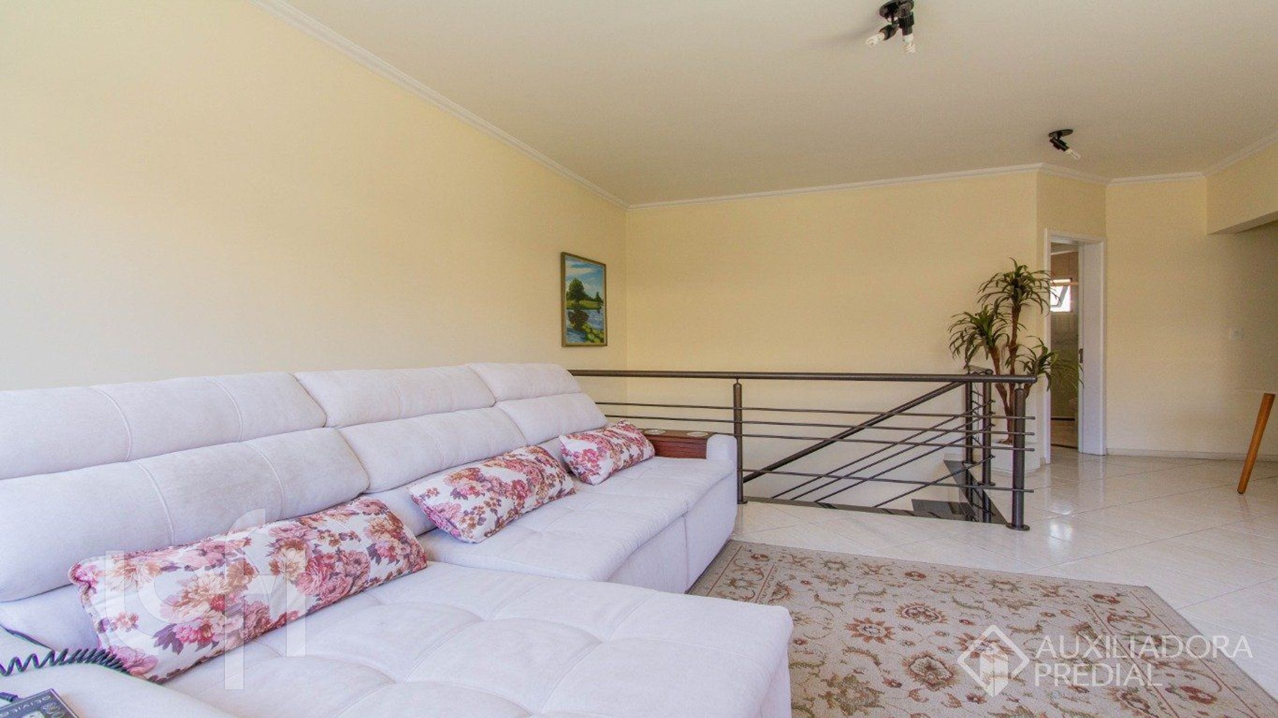 Imagem da propriedade 34