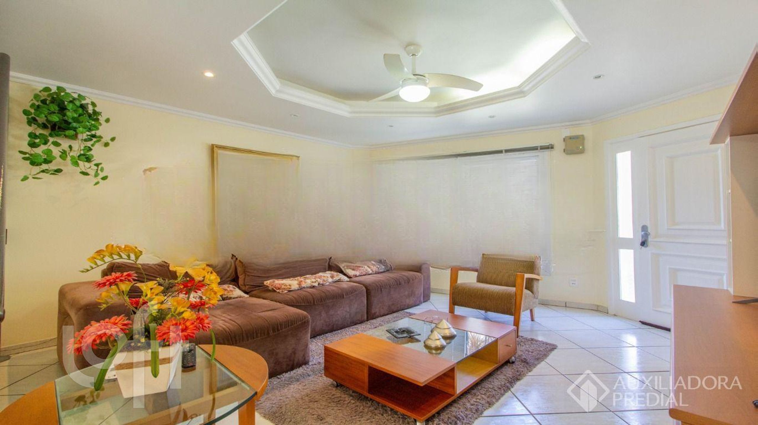 Imagem da propriedade 3