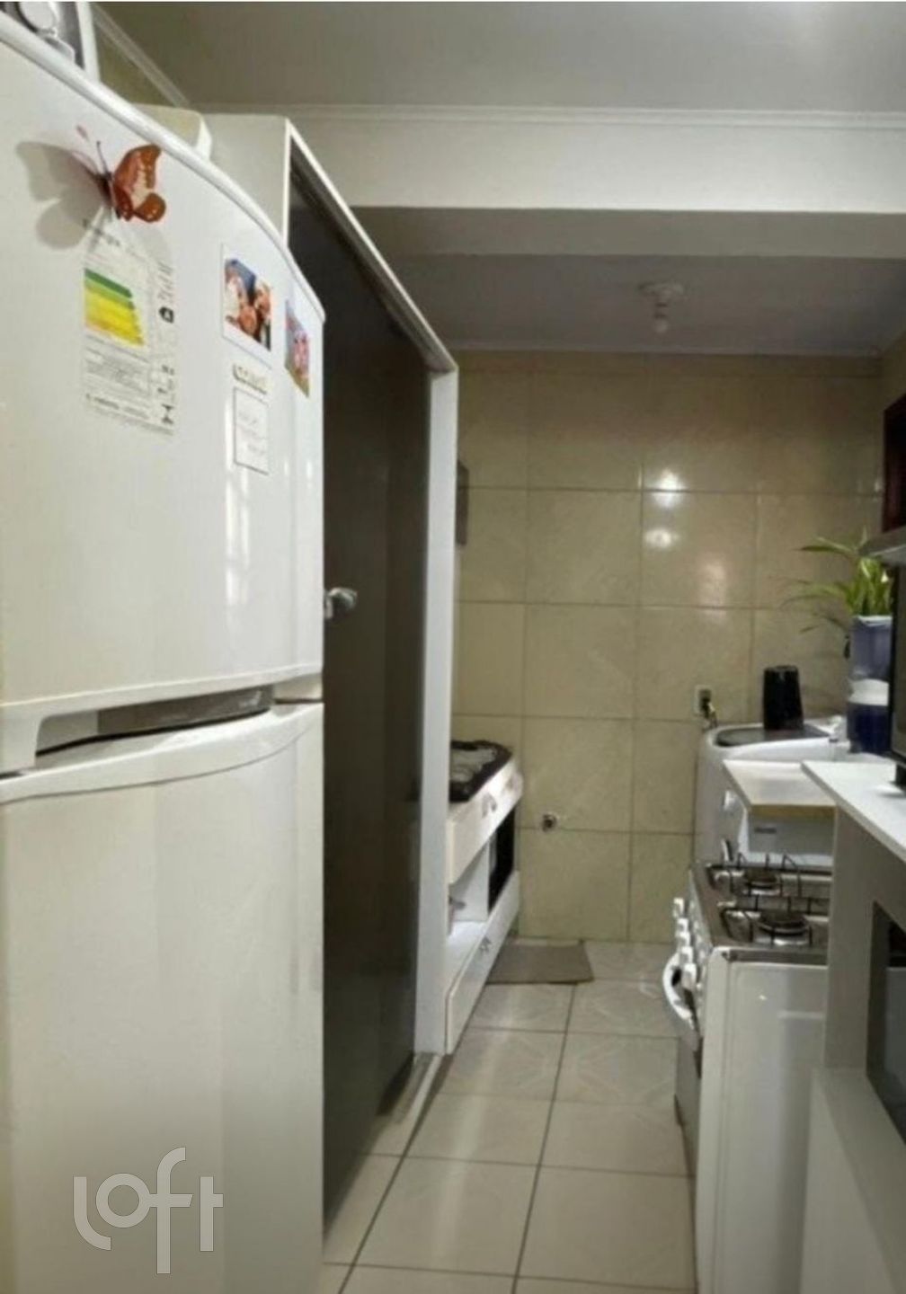 Imagem da propriedade 6