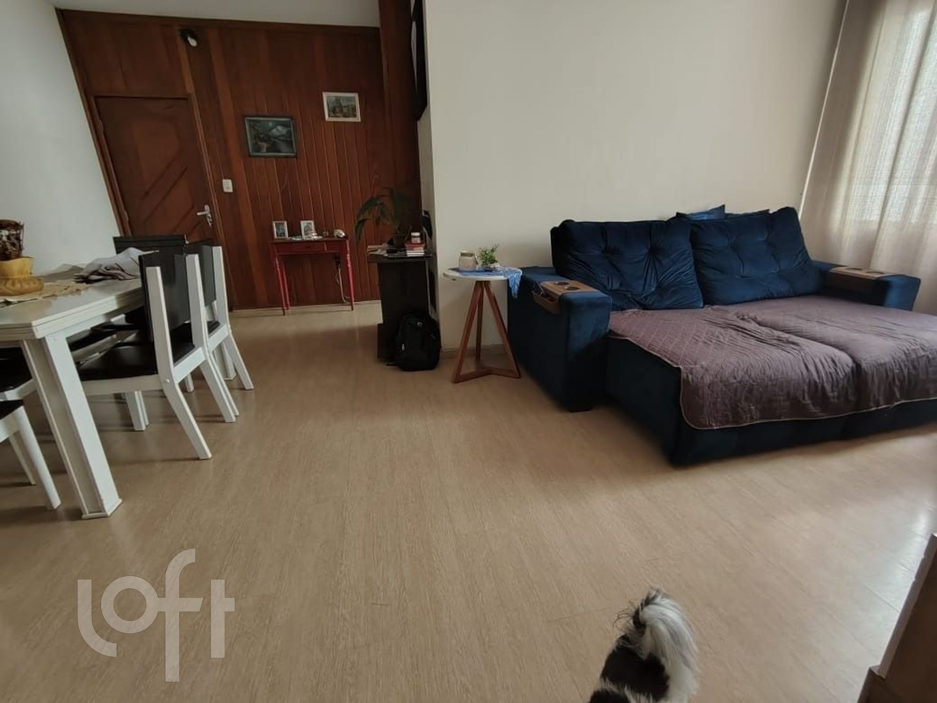 Imagem da propriedade 5