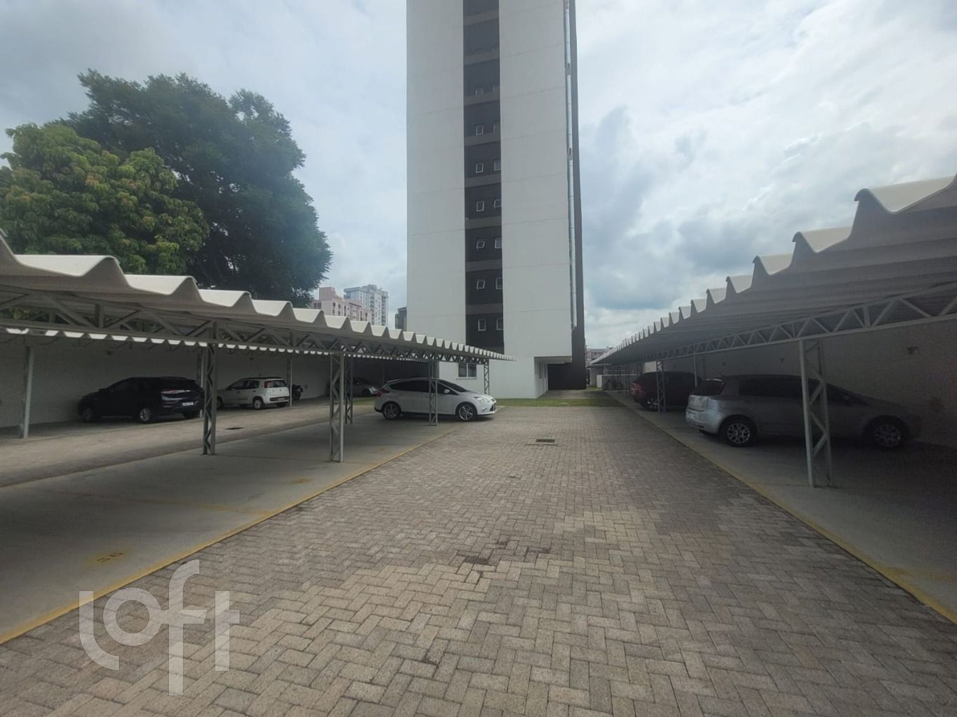 Imagem da propriedade 10