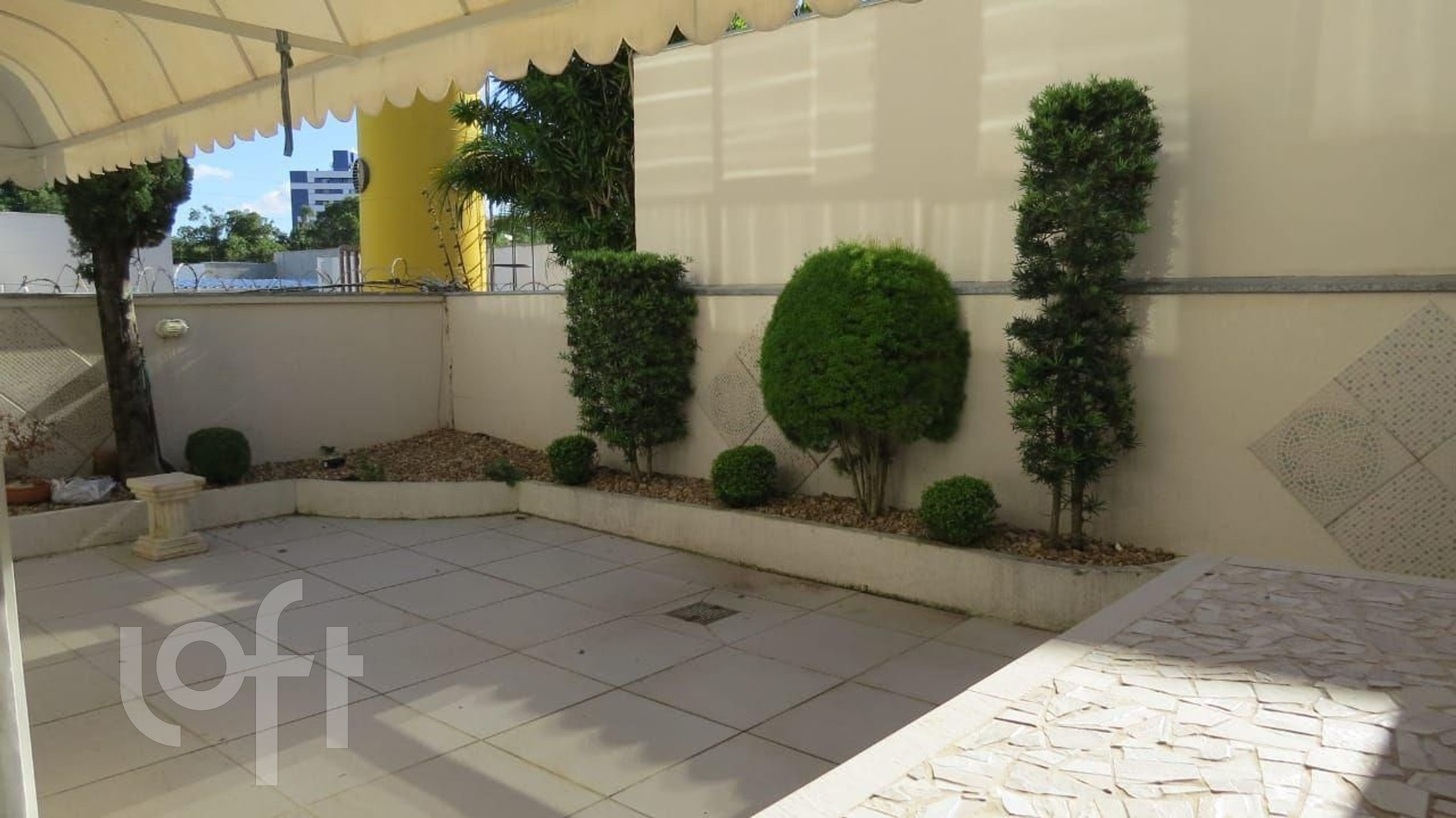 Imagem da propriedade 12