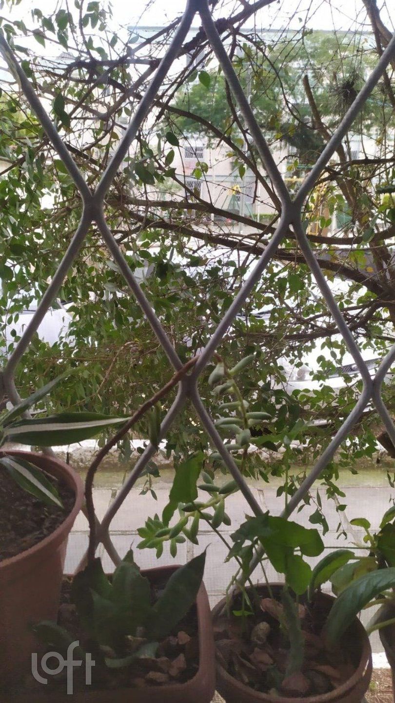 Imagem da propriedade 9