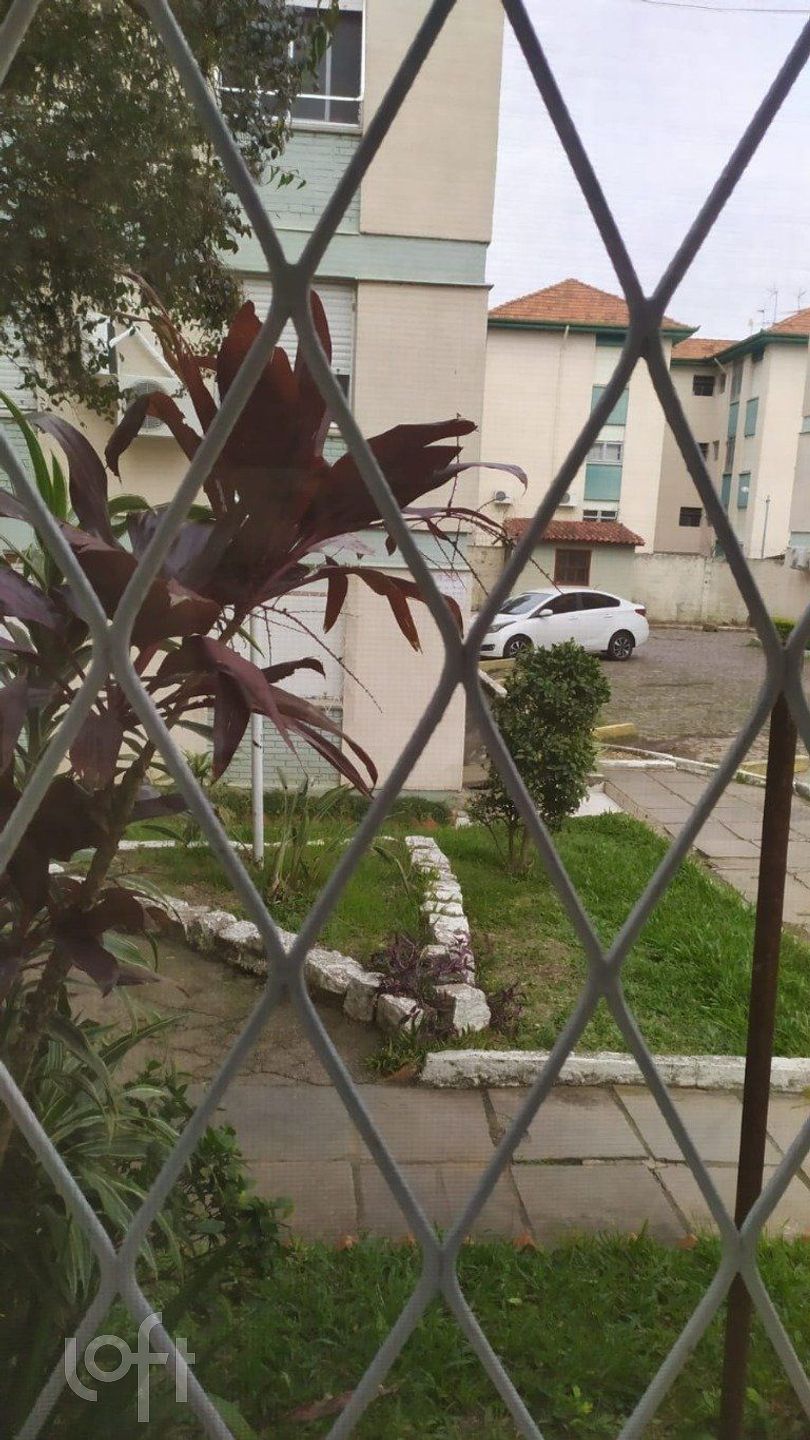 Imagem da propriedade 5