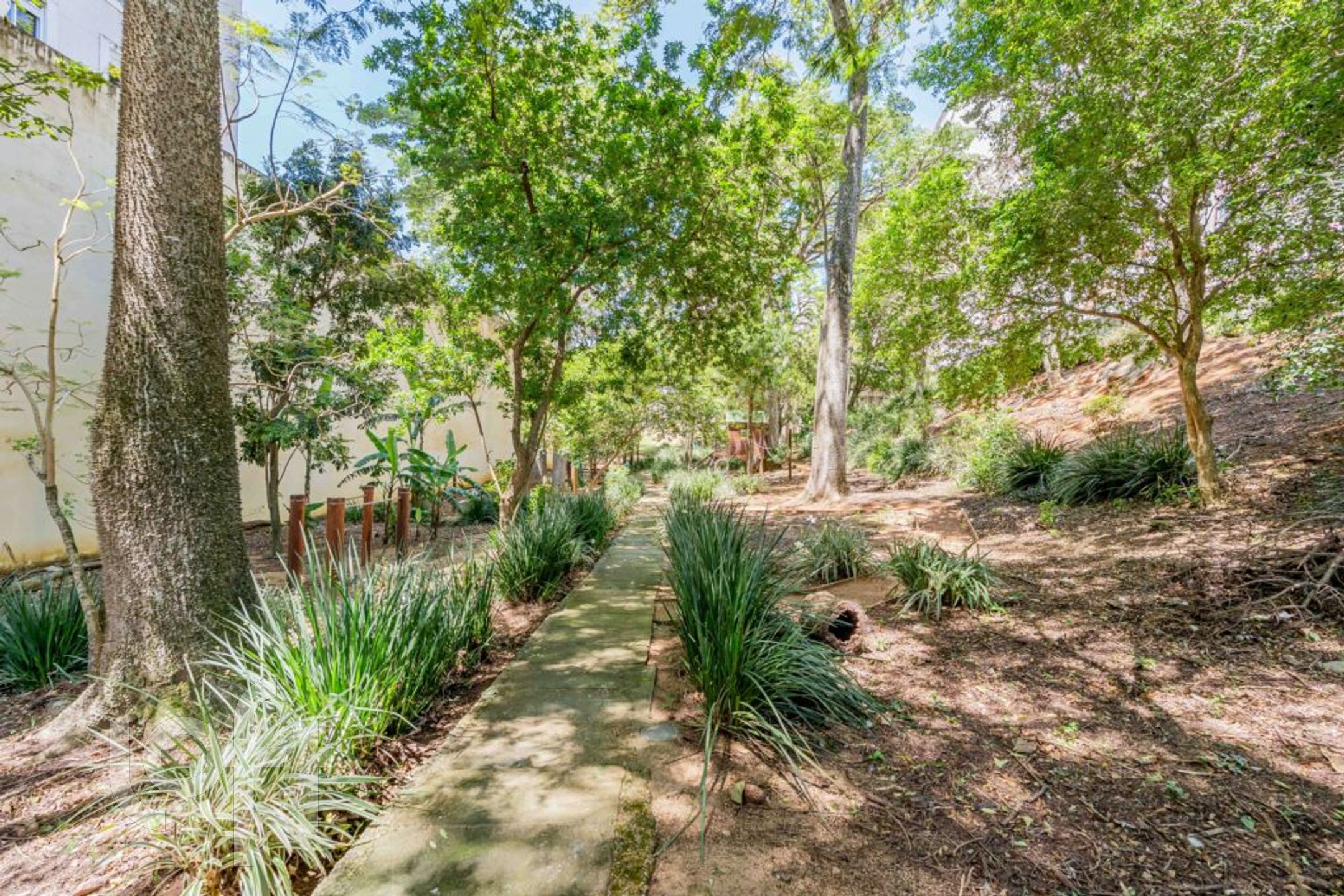 Imagem da propriedade 67