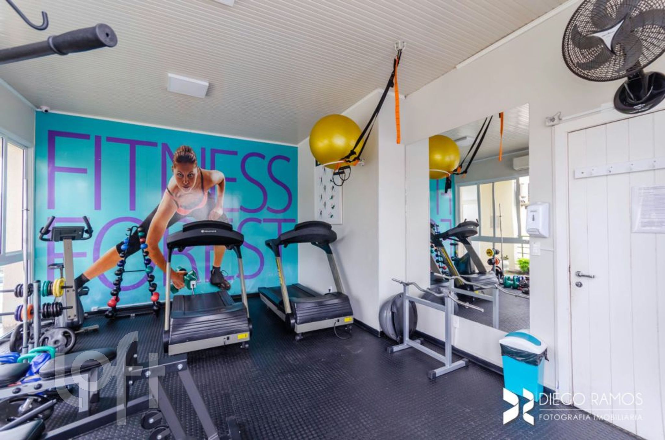 Imagem da propriedade 12