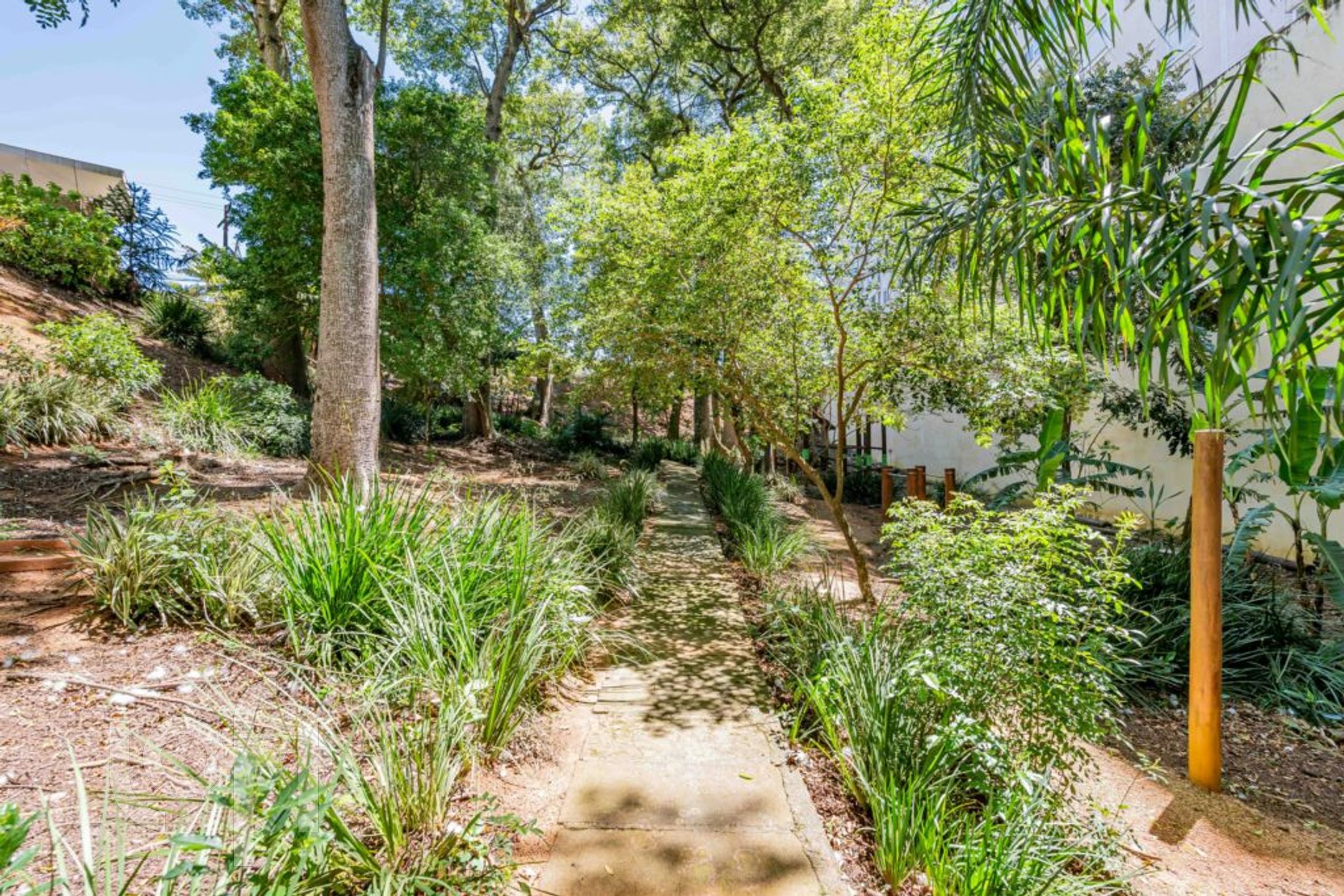 Imagem da propriedade 69