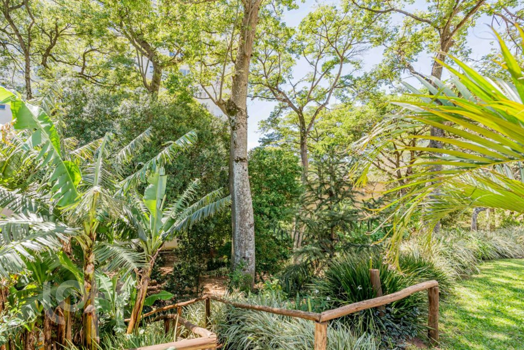 Imagem da propriedade 65