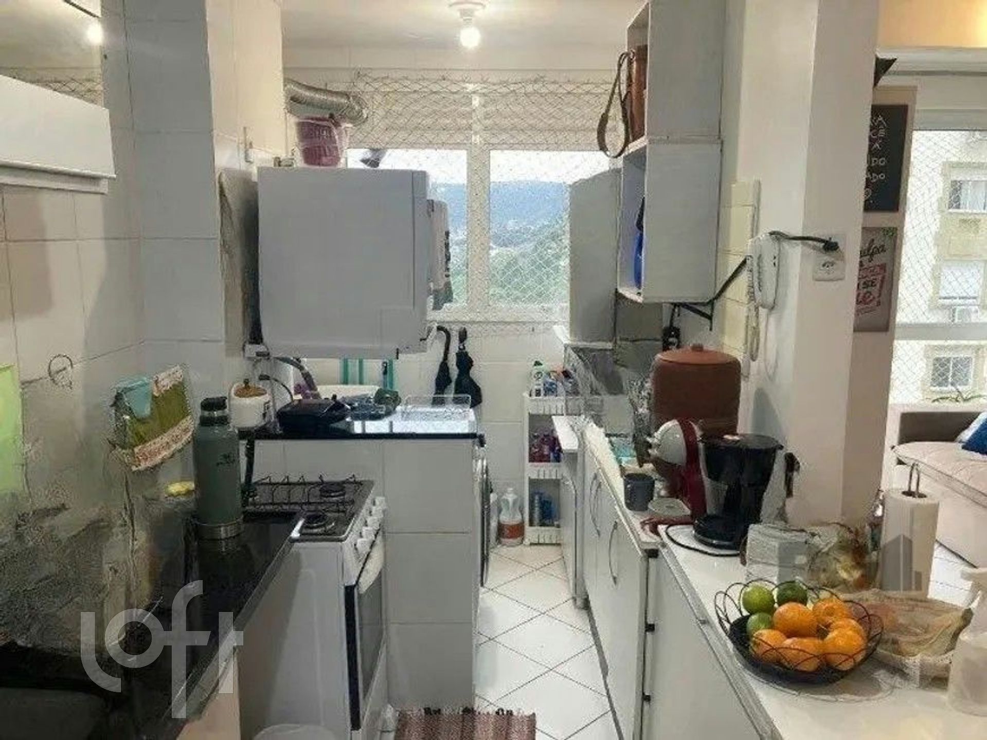 Imagem da propriedade 4