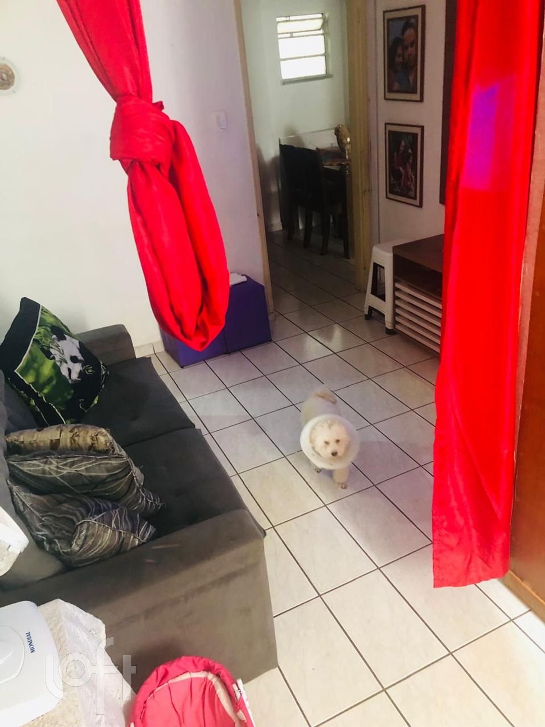 Apartamento à venda com 1 quarto, 55m² - Foto 3