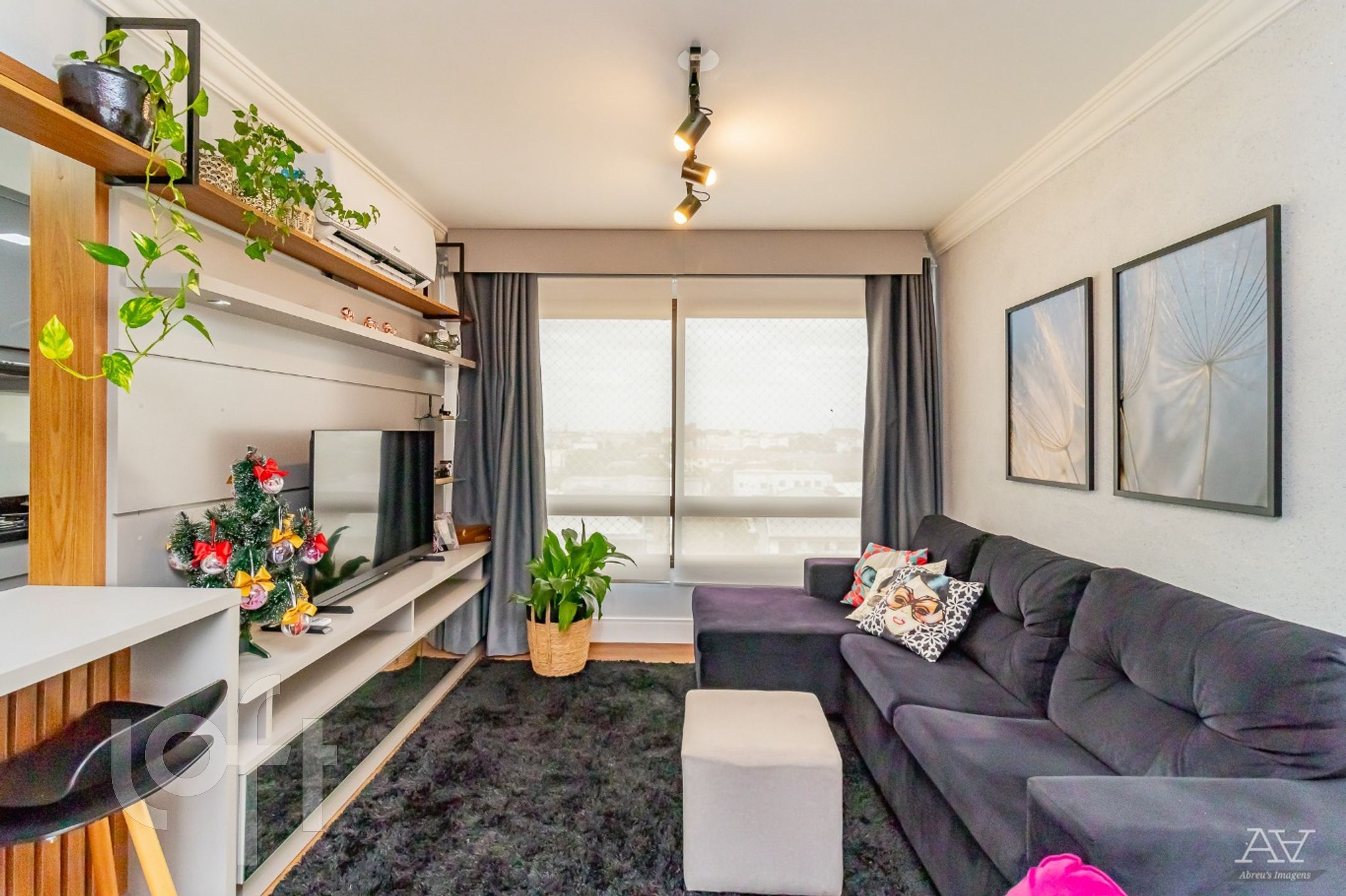 Imagem da propriedade 10