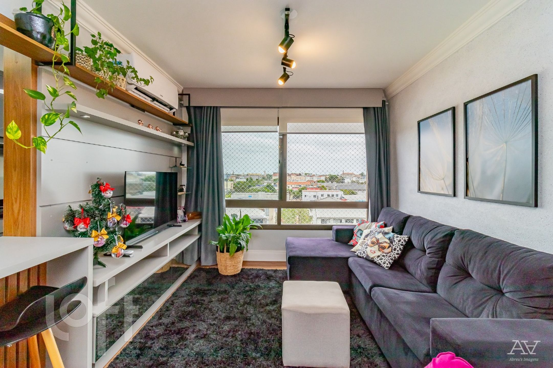 Imagem da propriedade 9