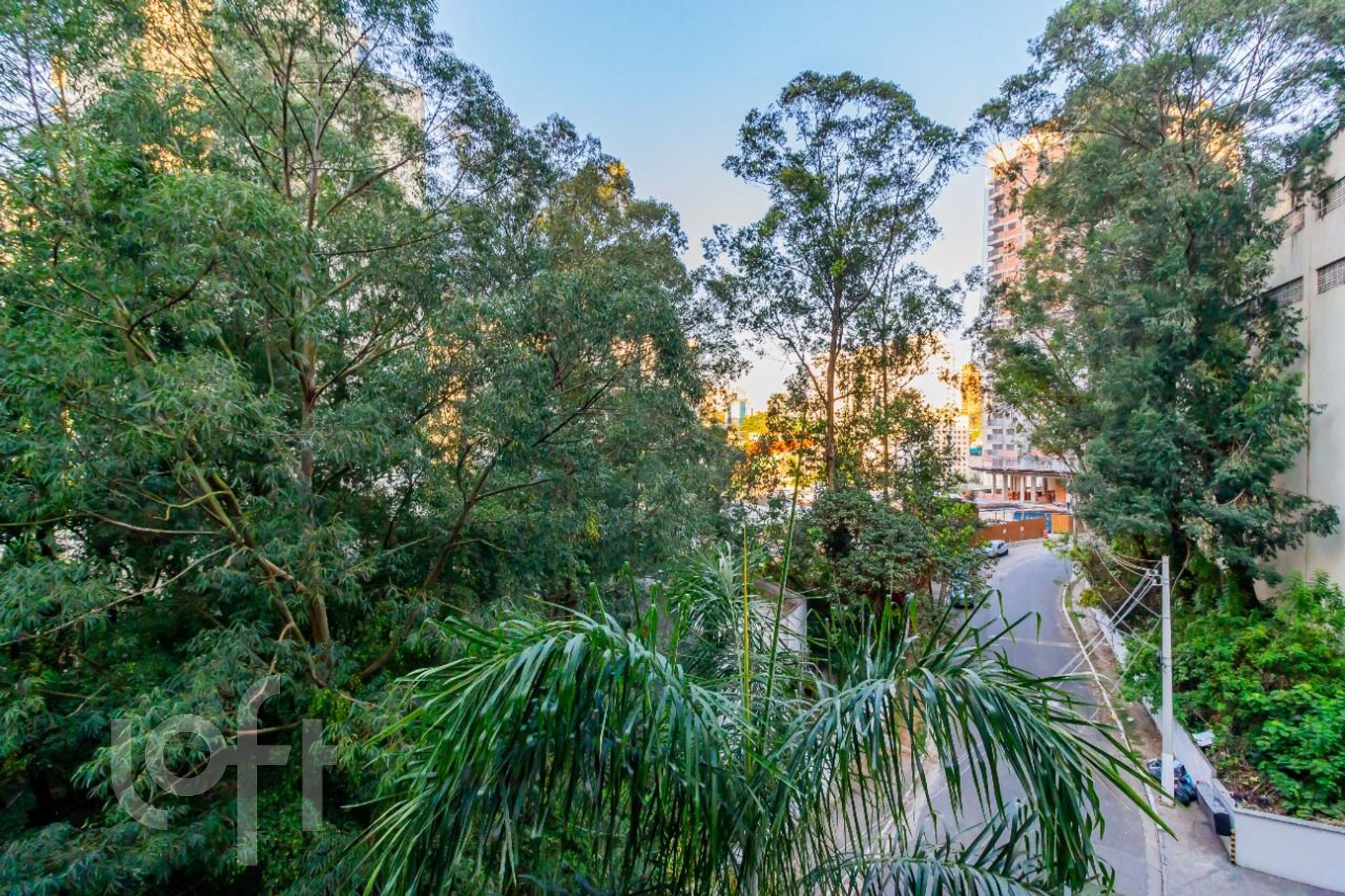 Apartamento à venda com 3 quartos, 78m² - Foto 8