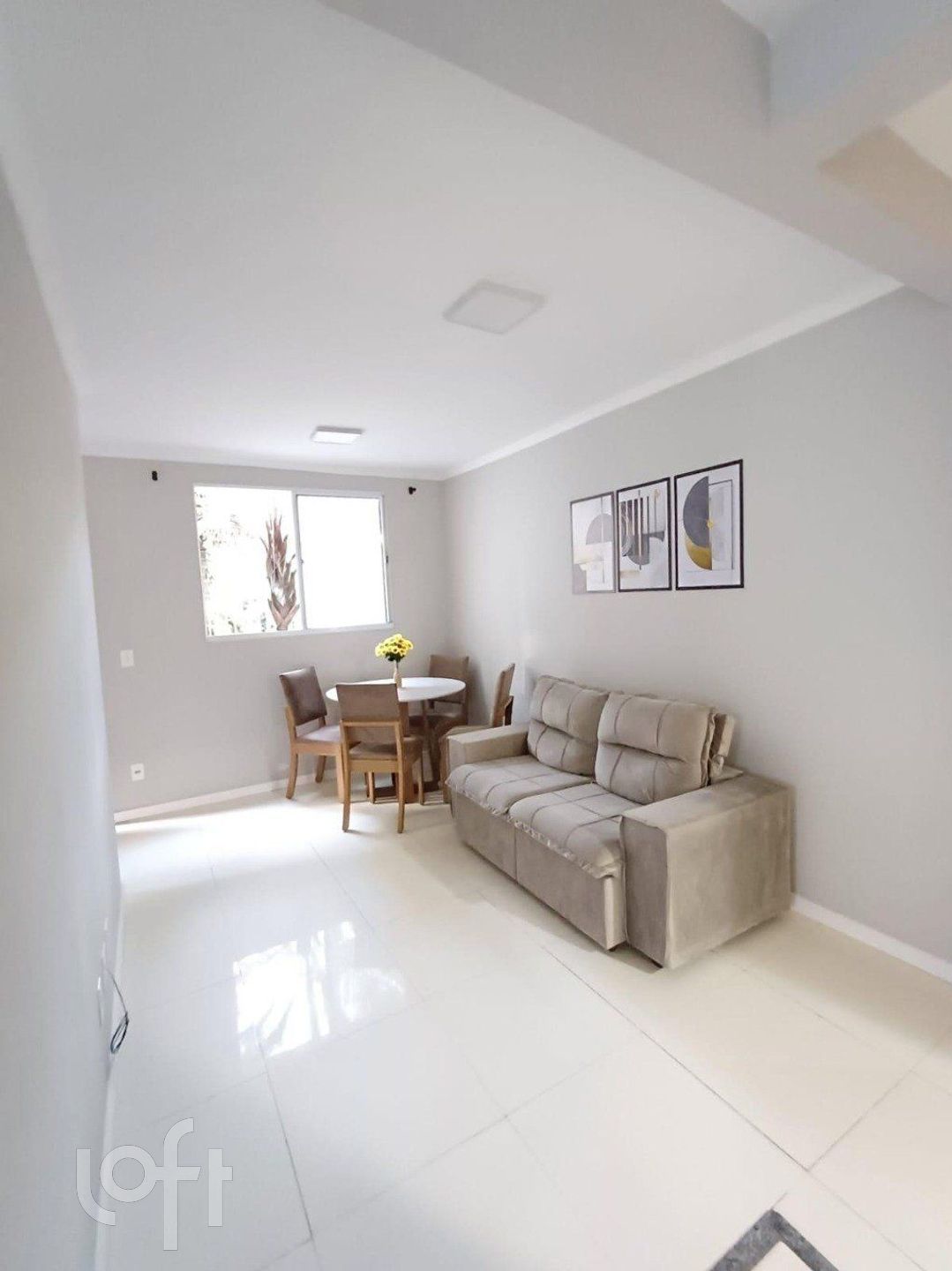 Imagem da propriedade 3