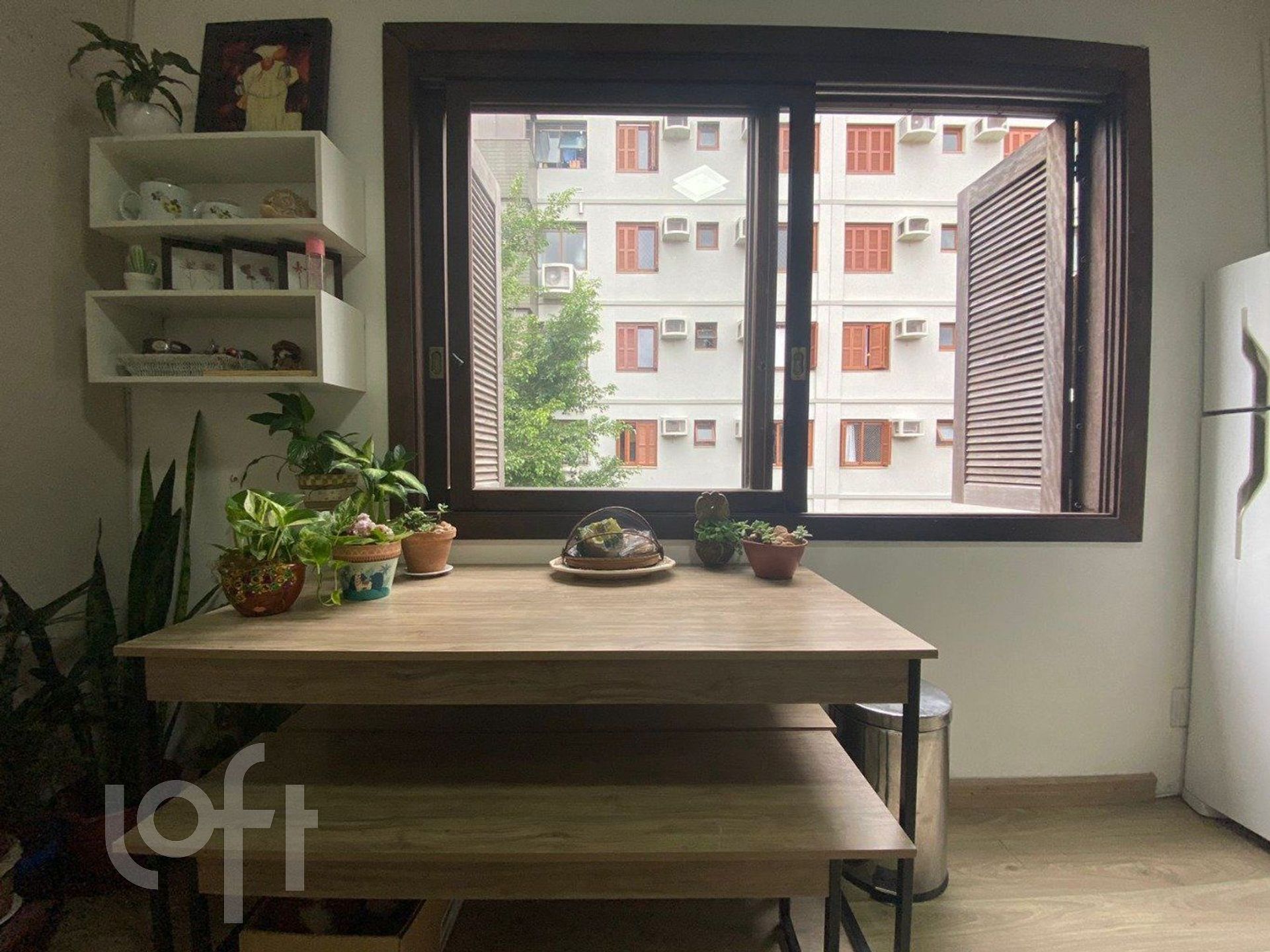 Imagem da propriedade 6