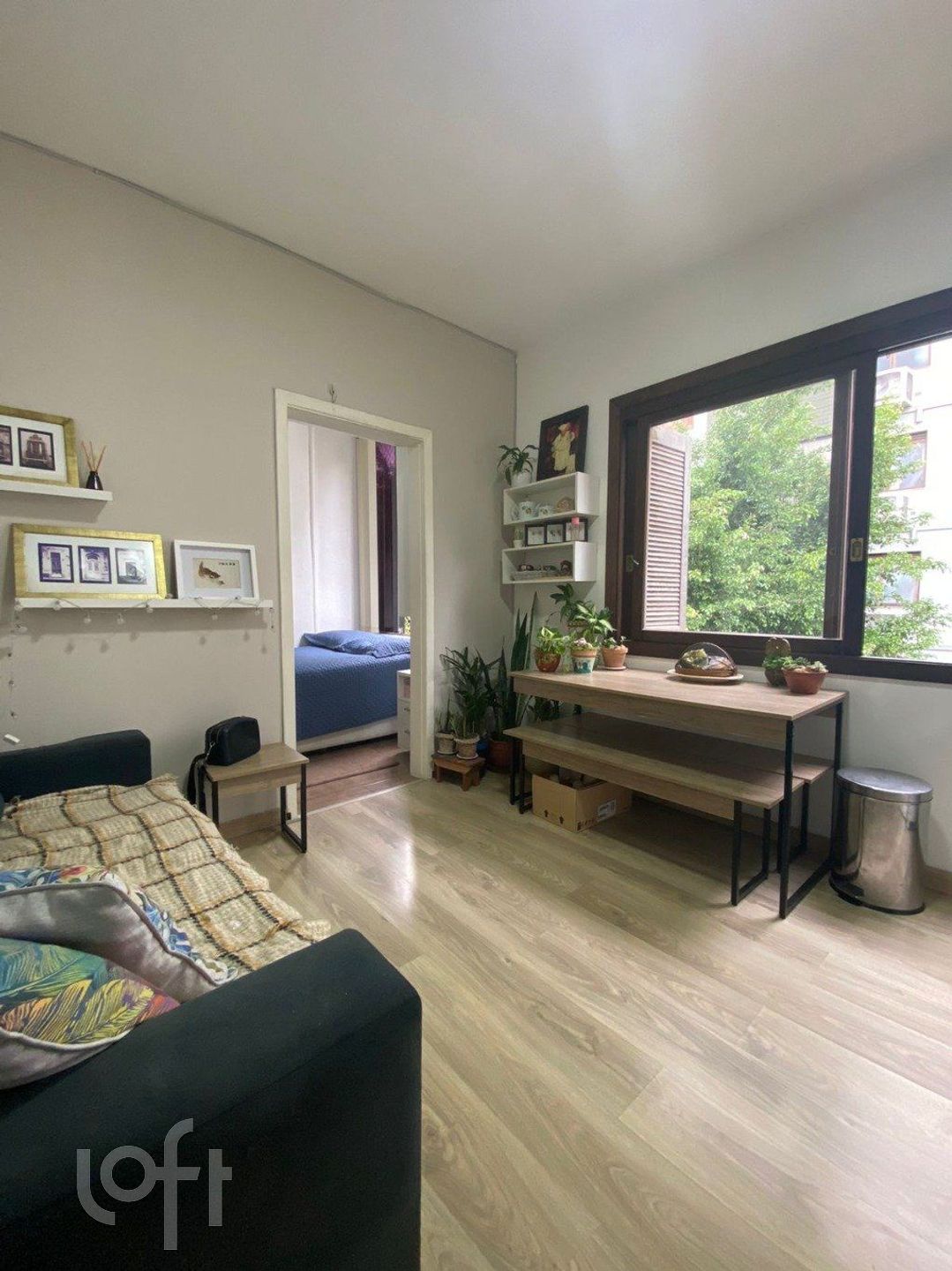 Imagem da propriedade 5