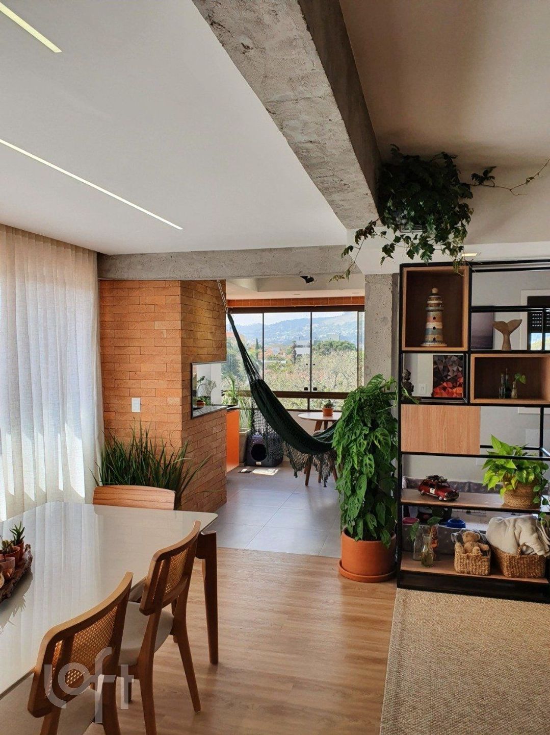 Imagem da propriedade 6