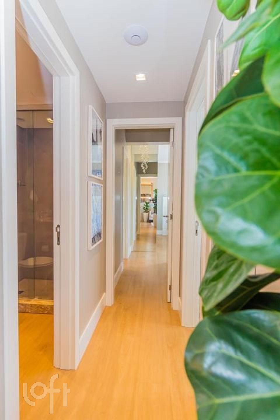 Imagem da propriedade 8