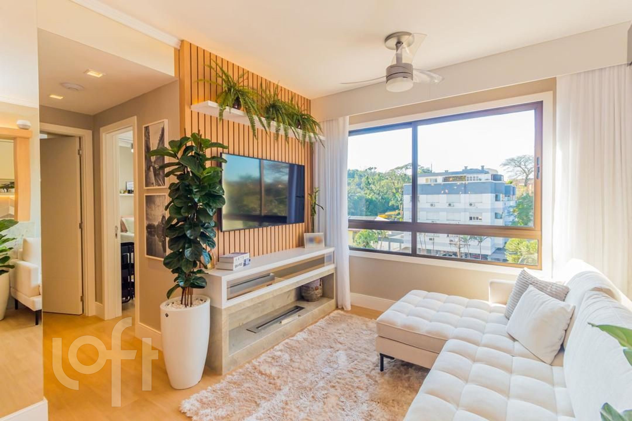 Imagem da propriedade 3