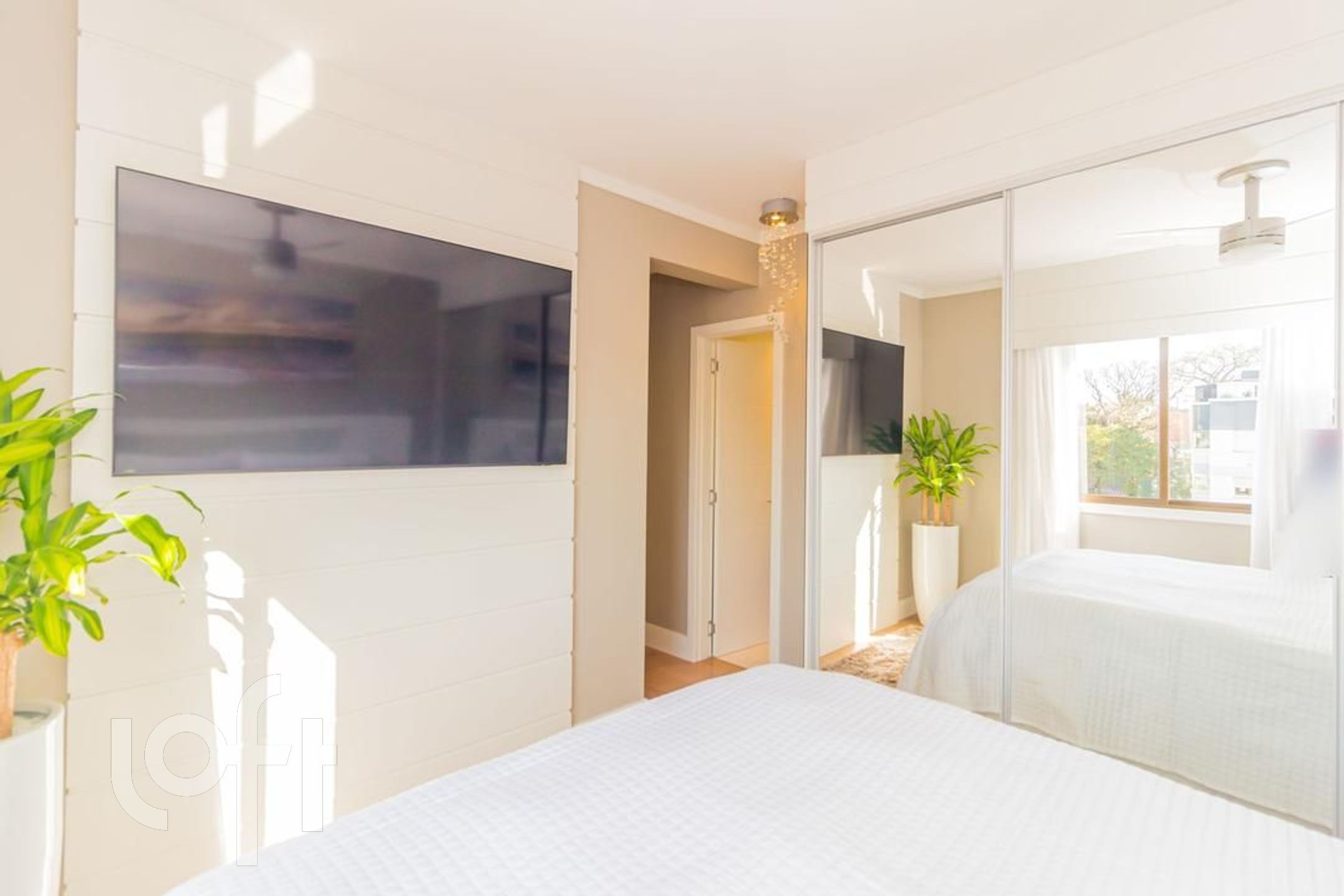 Imagem da propriedade 18