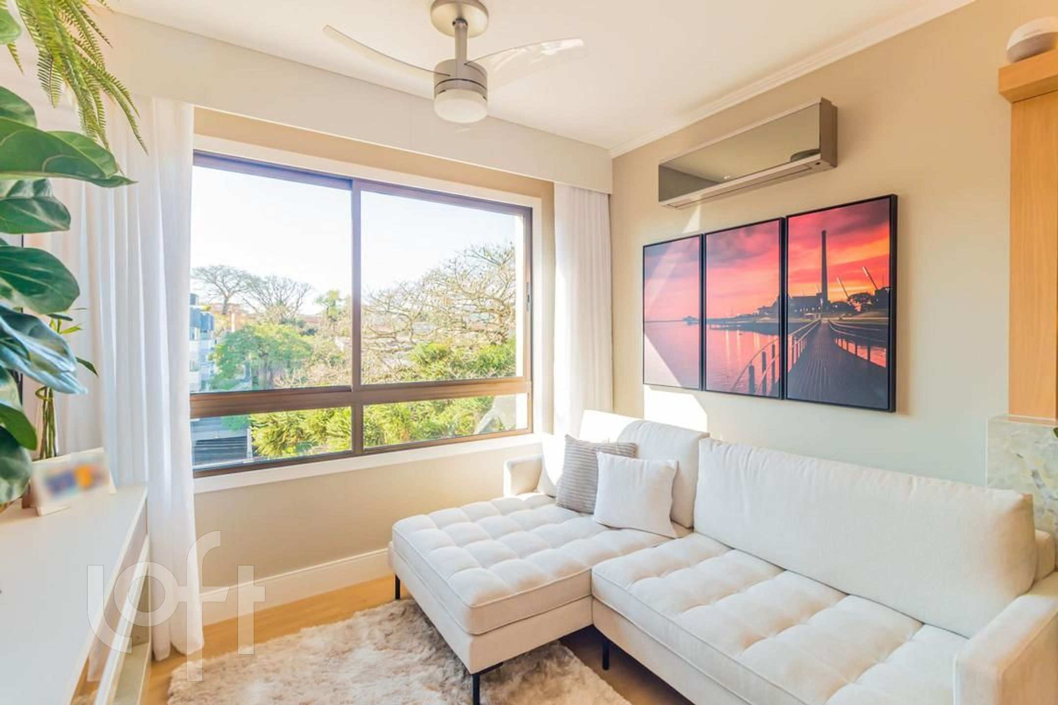 Imagem da propriedade 4