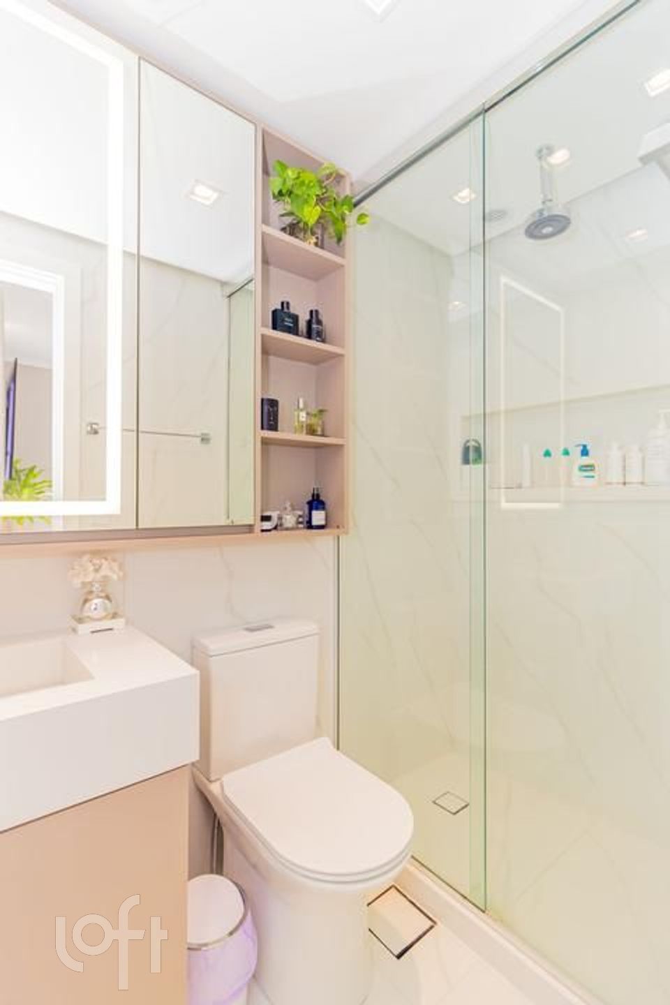 Imagem da propriedade 19