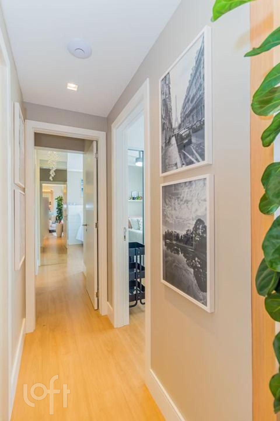 Imagem da propriedade 9