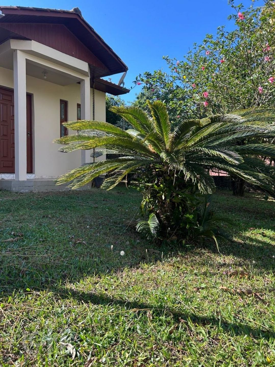 Imagem da propriedade 4