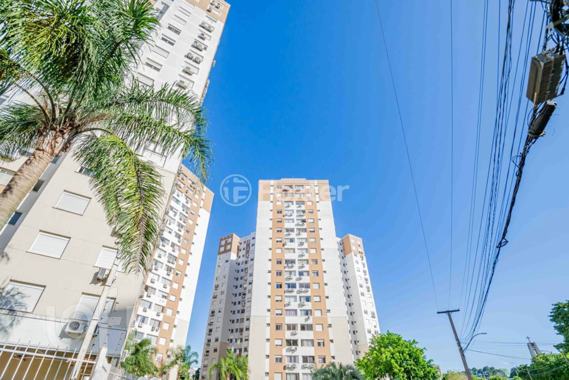 Imagem da propriedade 33