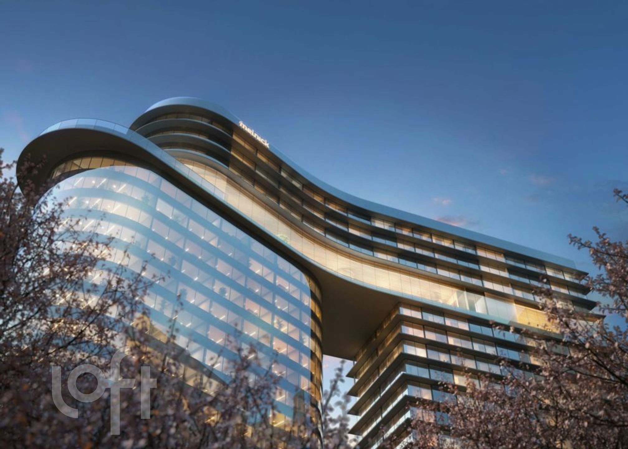 Imagem da propriedade 3