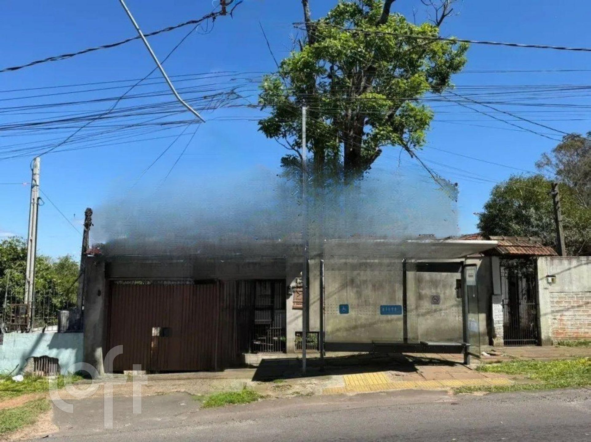 Imagem da propriedade 9