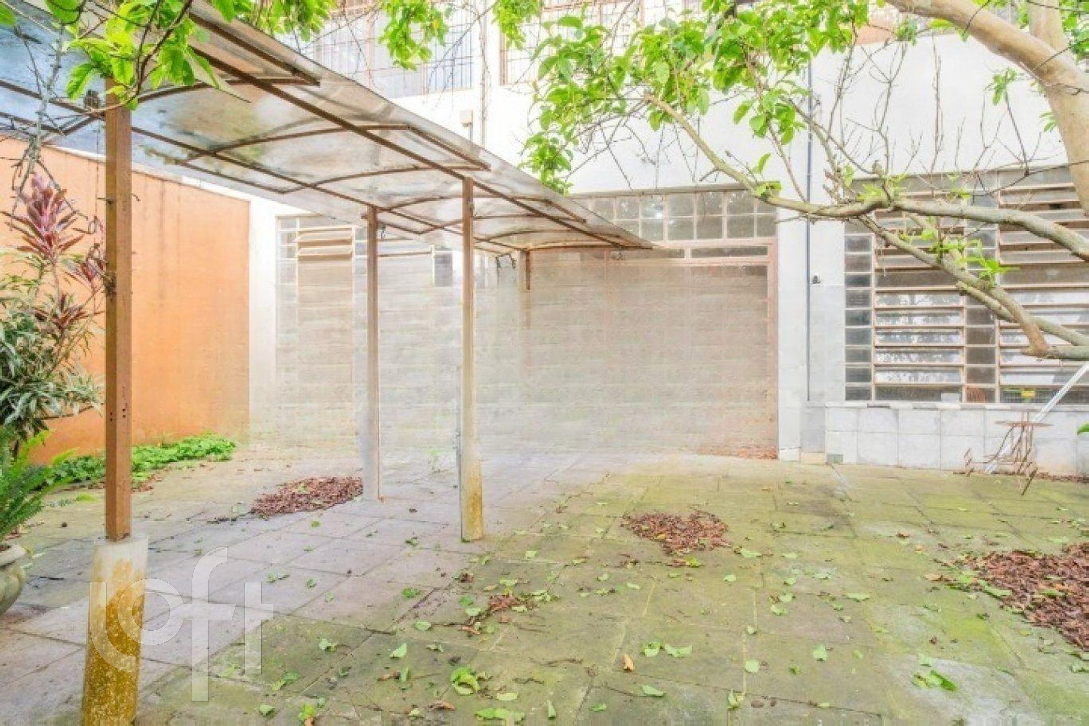 Imagem da propriedade 33