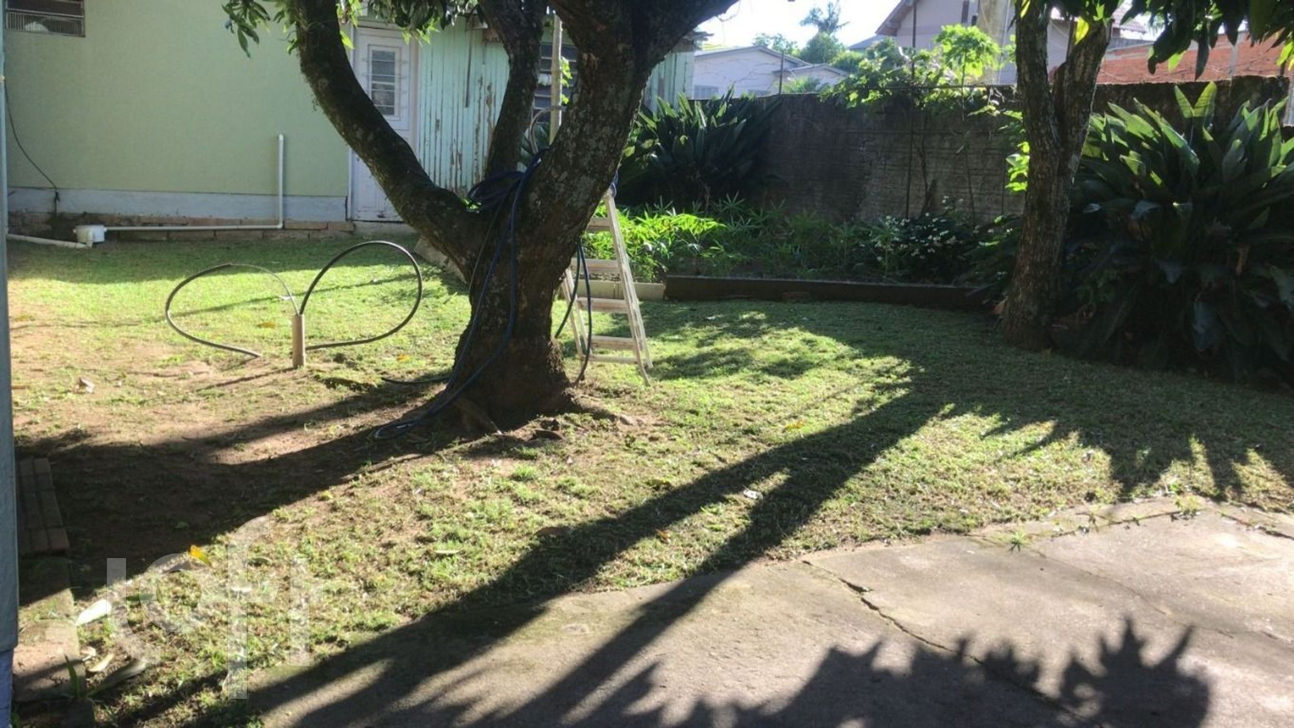 Imagem da propriedade 13