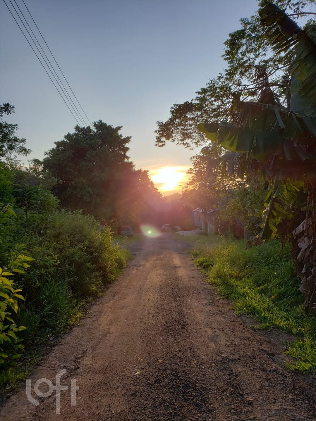 Imagem da propriedade 5