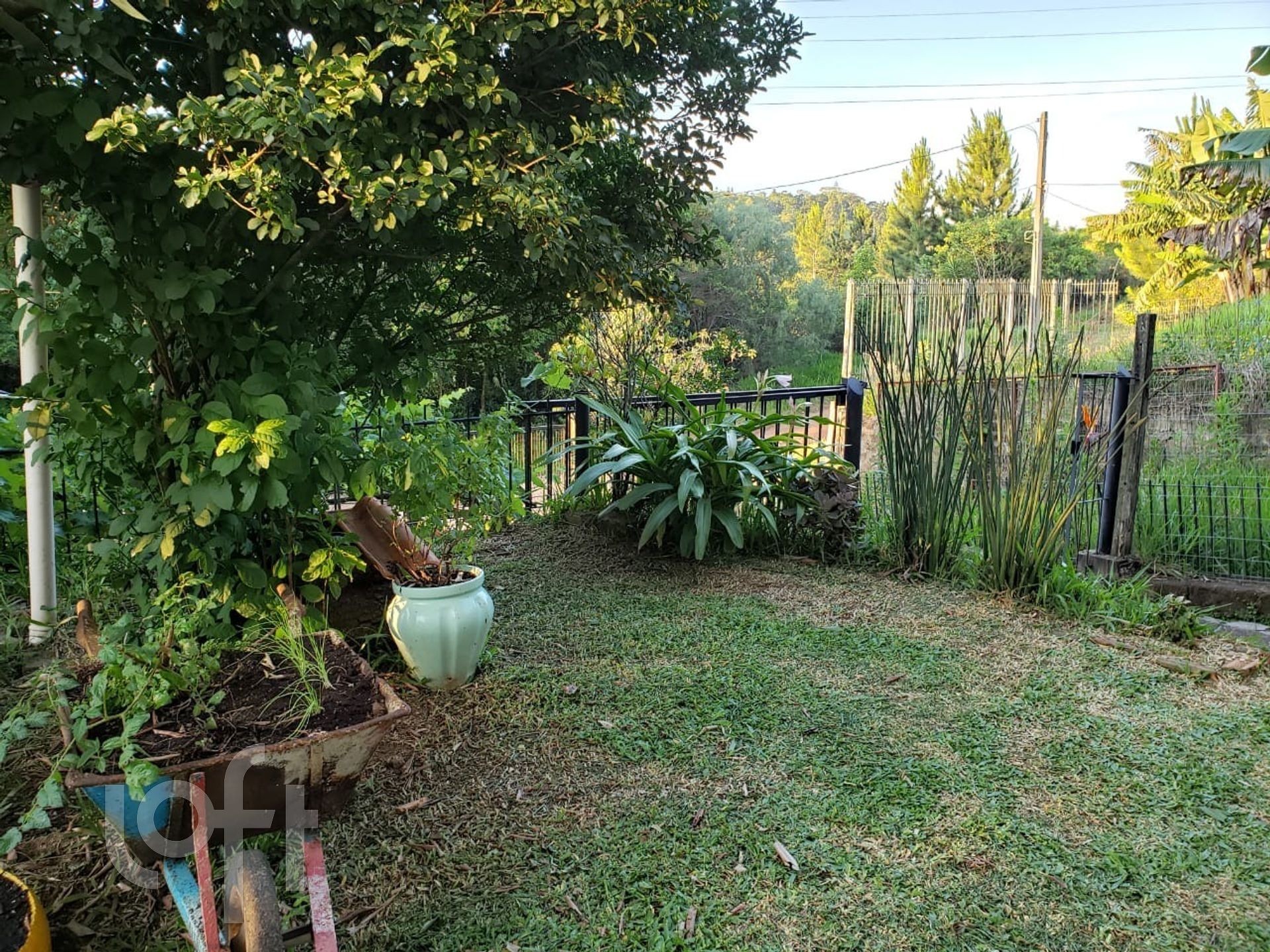 Imagem da propriedade 4