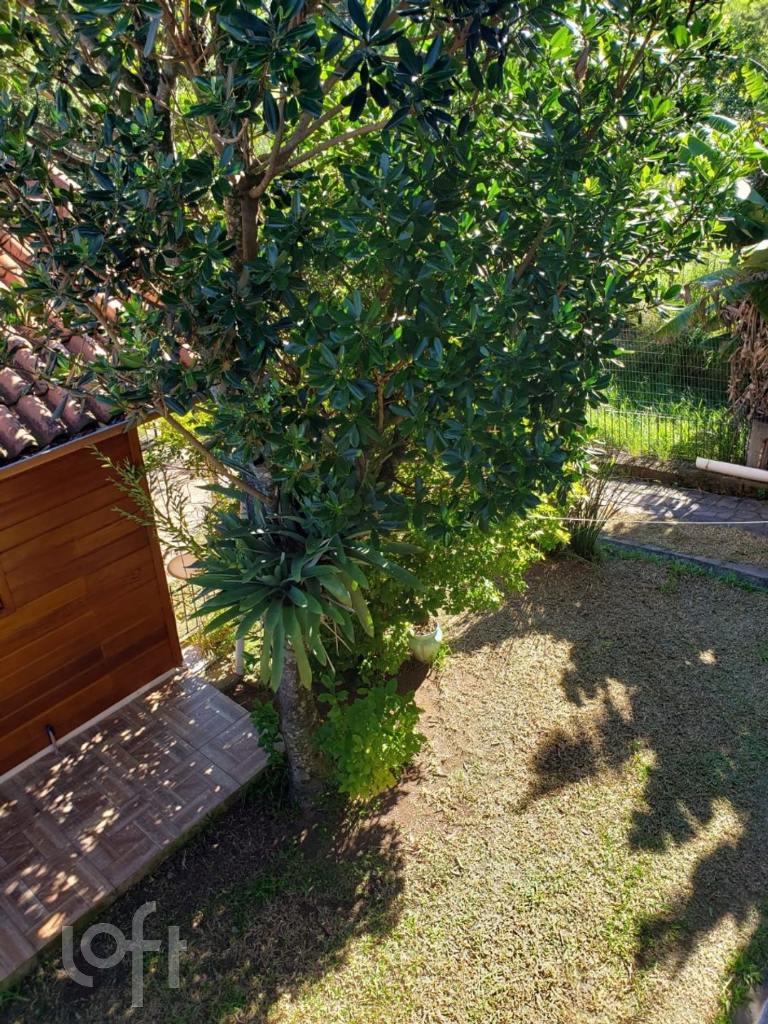 Imagem da propriedade 13