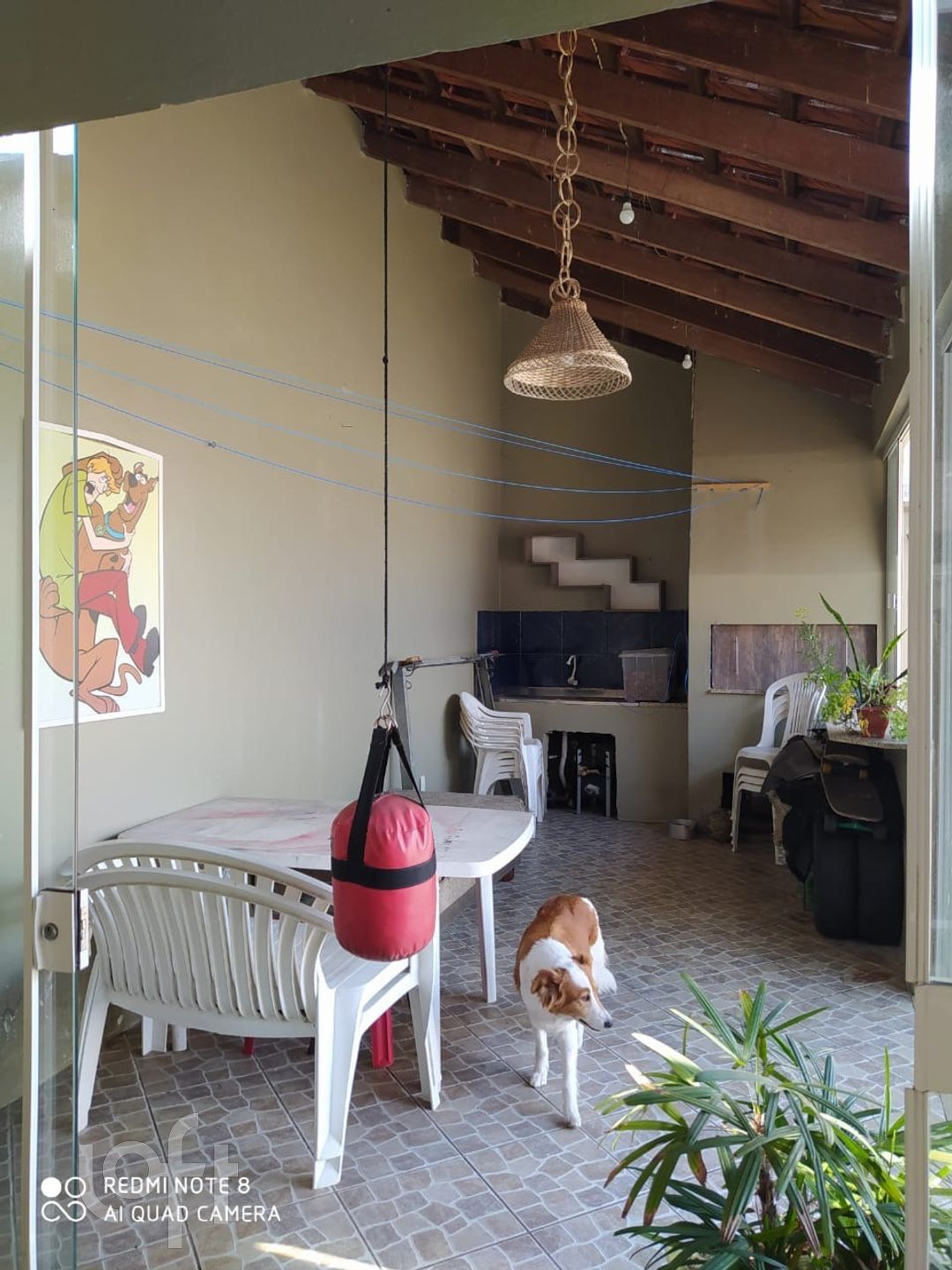 Imagem da propriedade 9