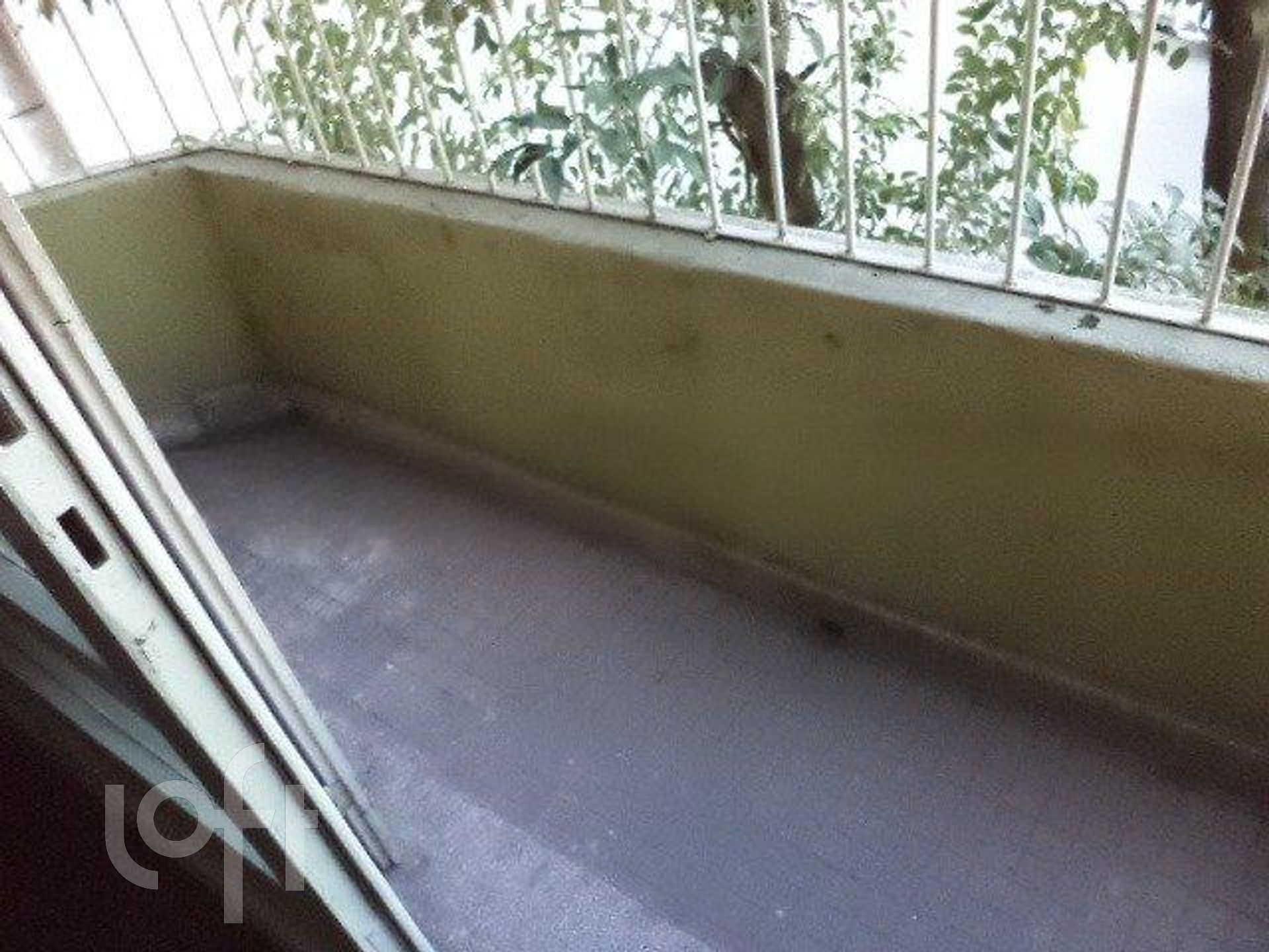 Imagem da propriedade 15