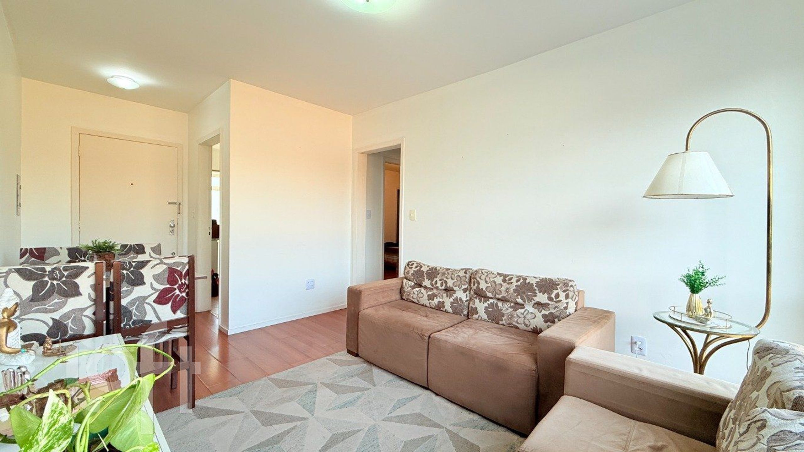 Imagem da propriedade 4