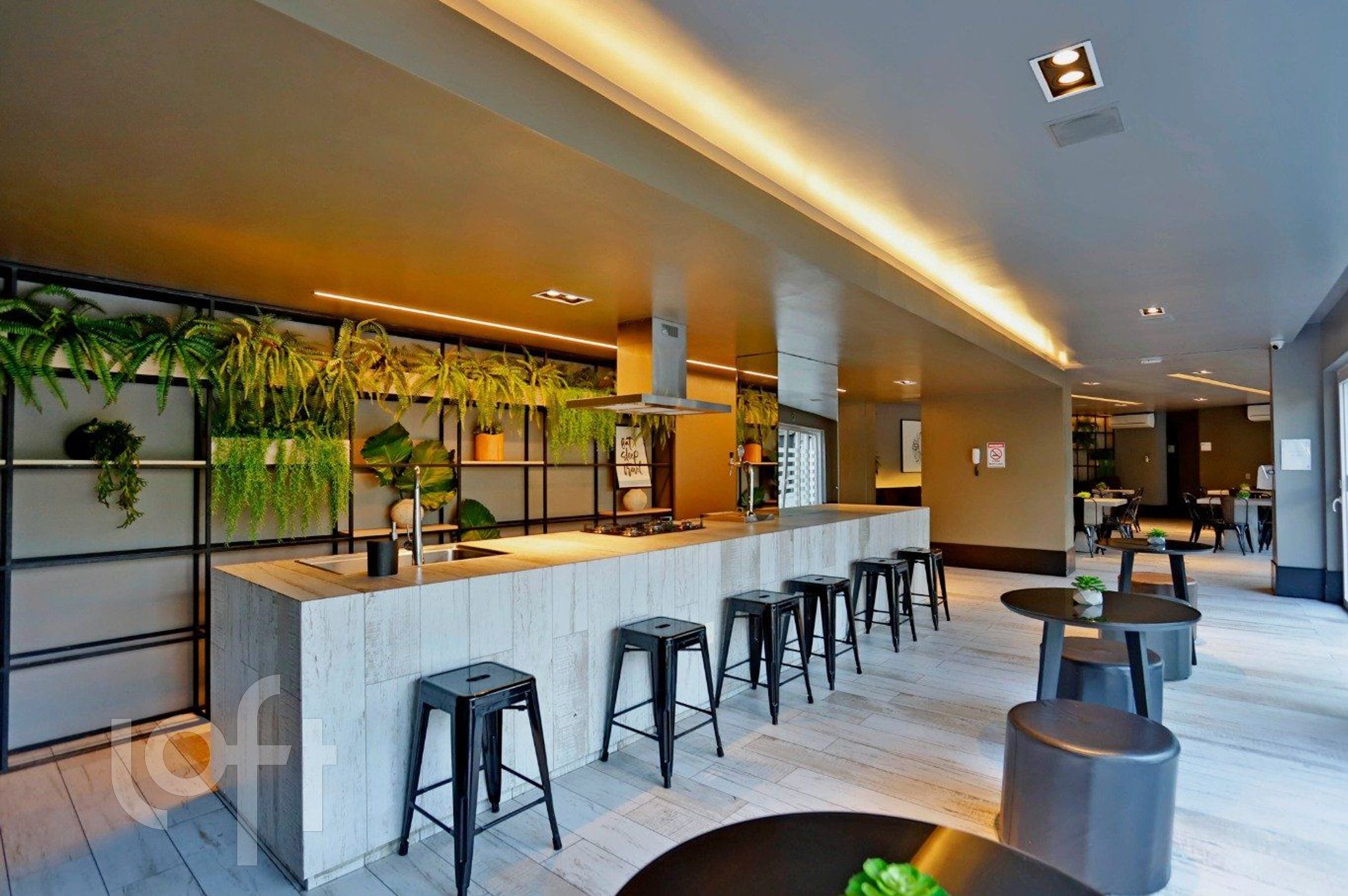 Imagem da propriedade 31