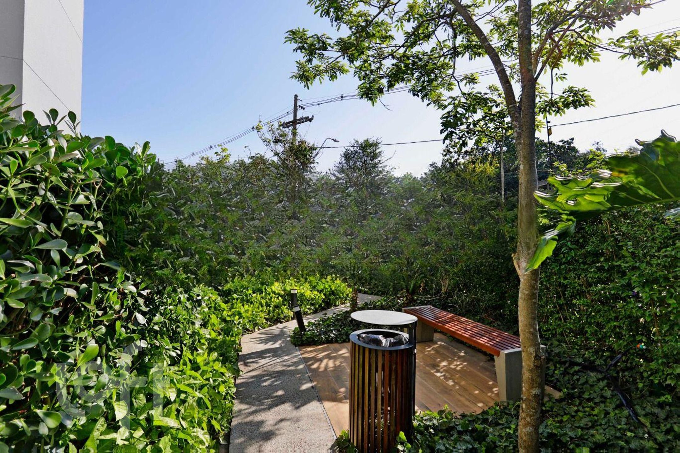 Imagem da propriedade 44