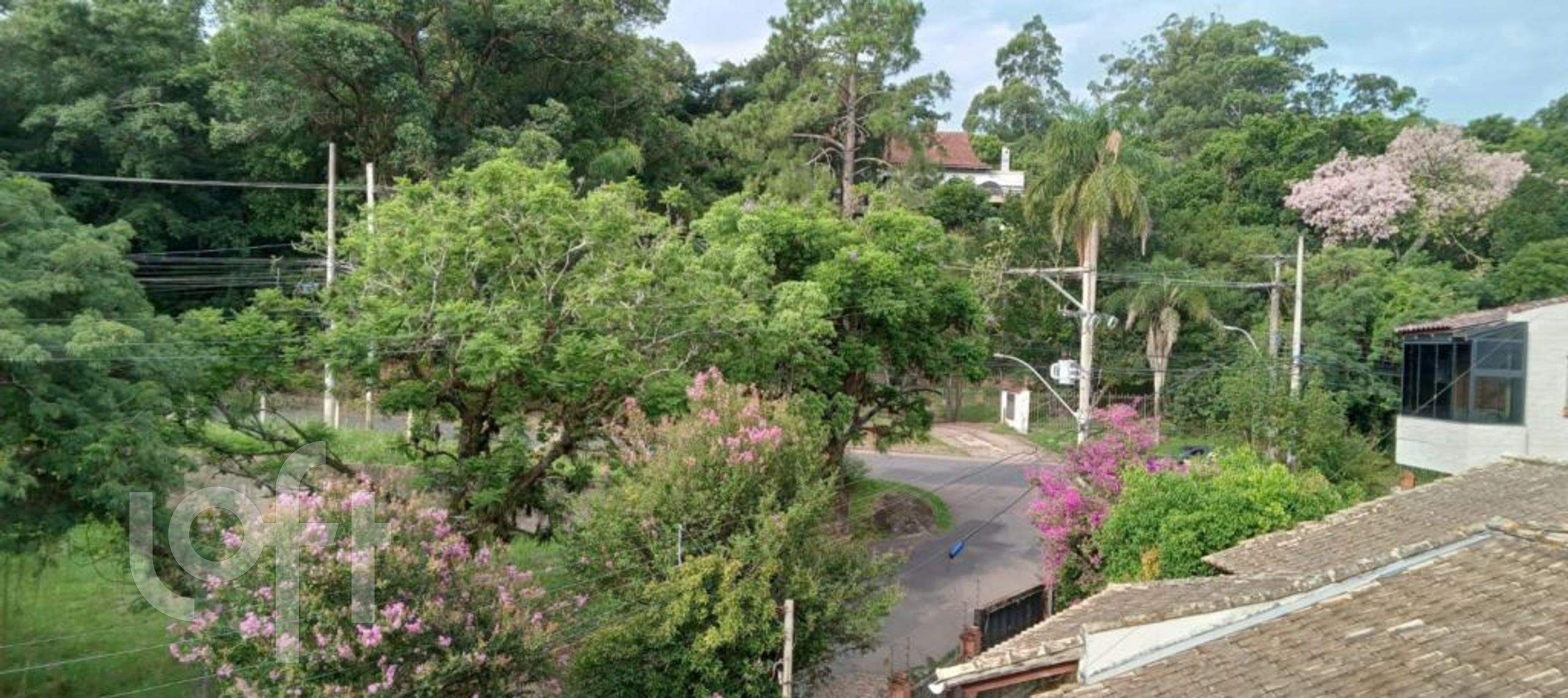 Imagem da propriedade 4