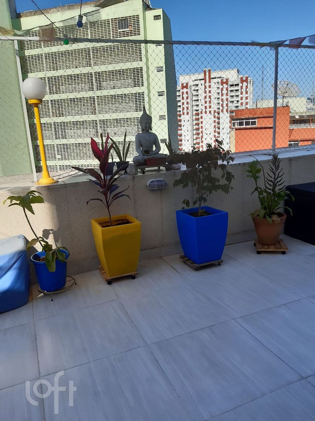 Imagem da propriedade 13