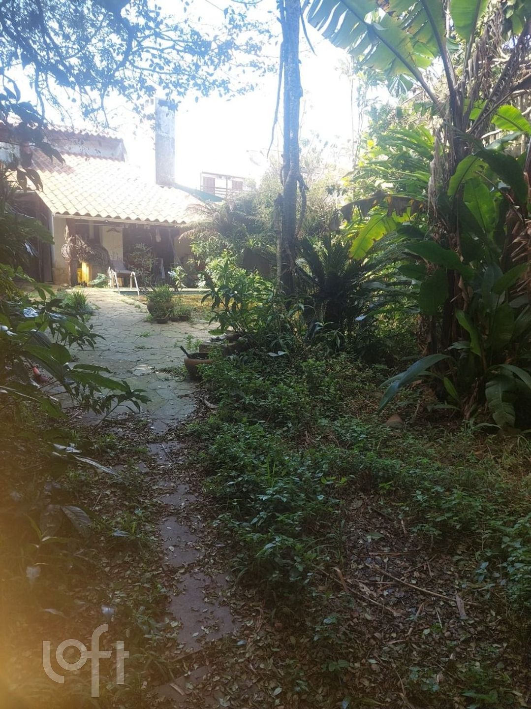 Imagem da propriedade 6
