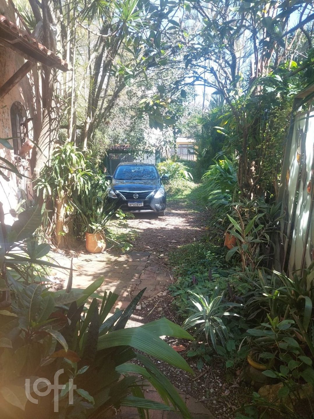 Imagem da propriedade 3