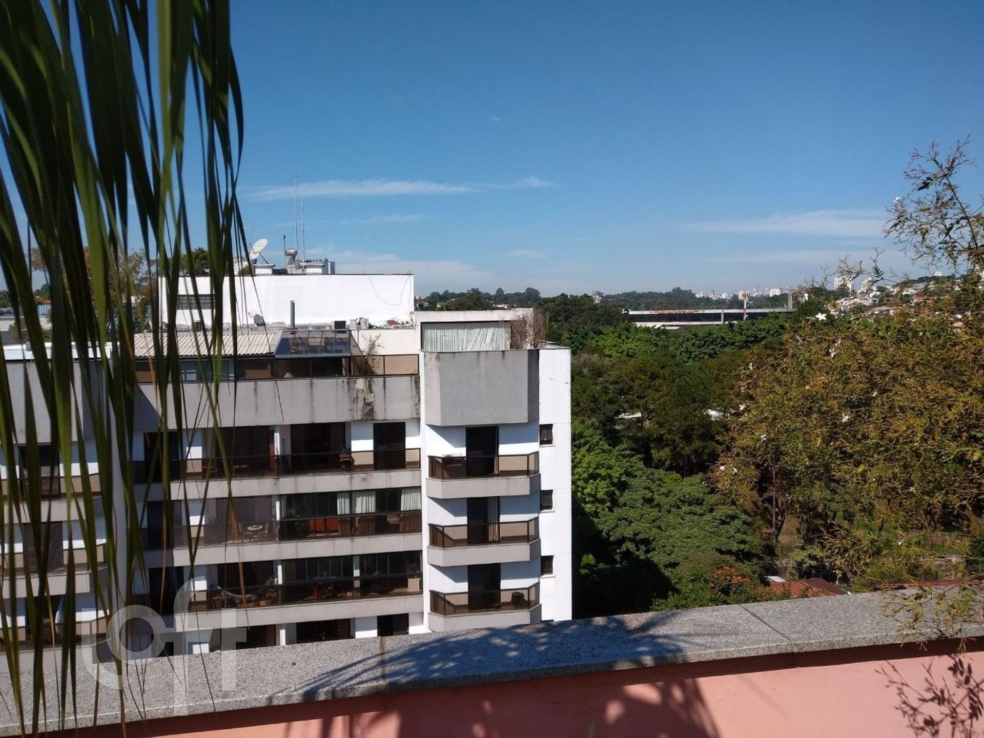 Imagem da propriedade 75988 21