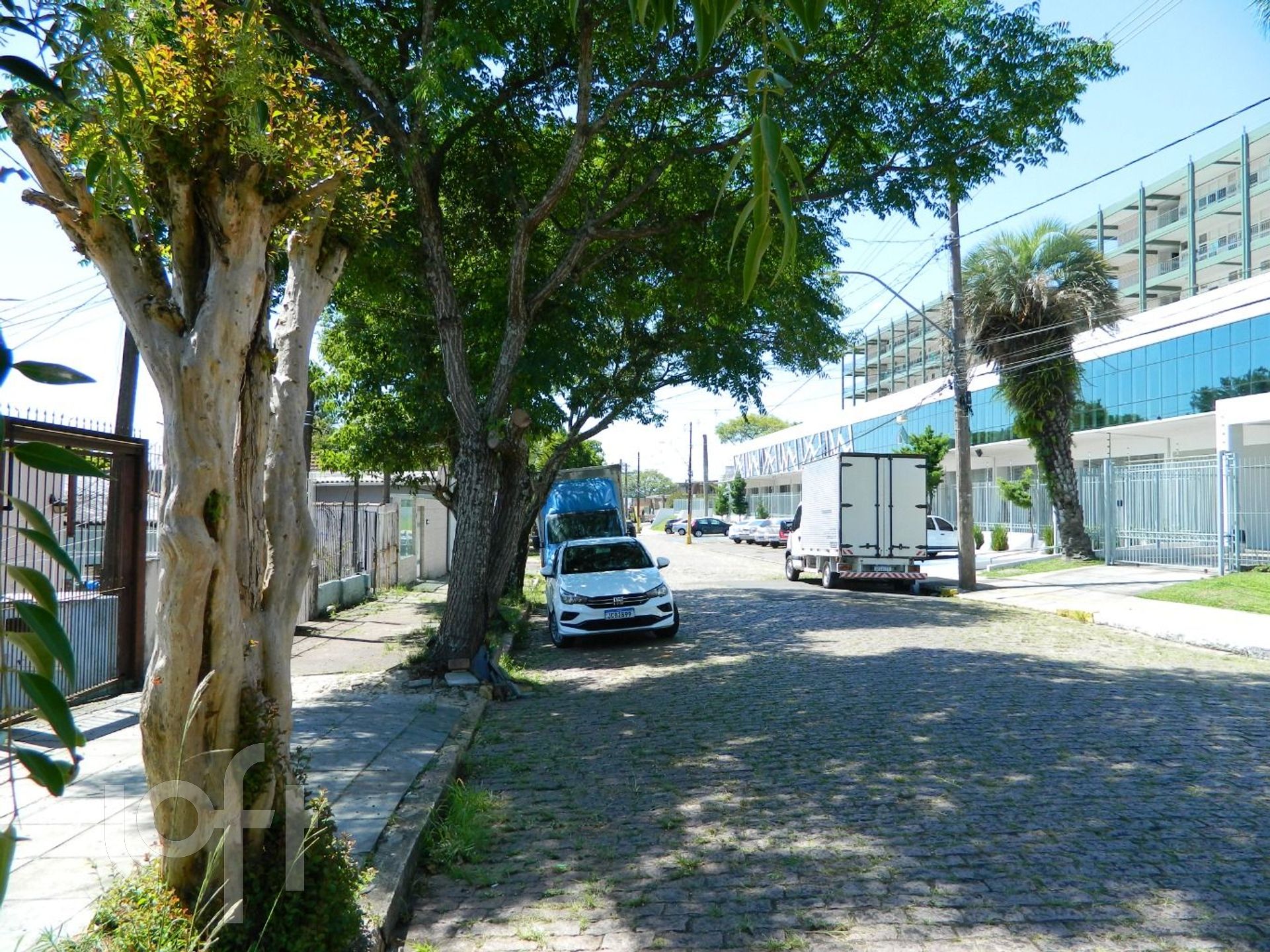 Imagem da propriedade 16