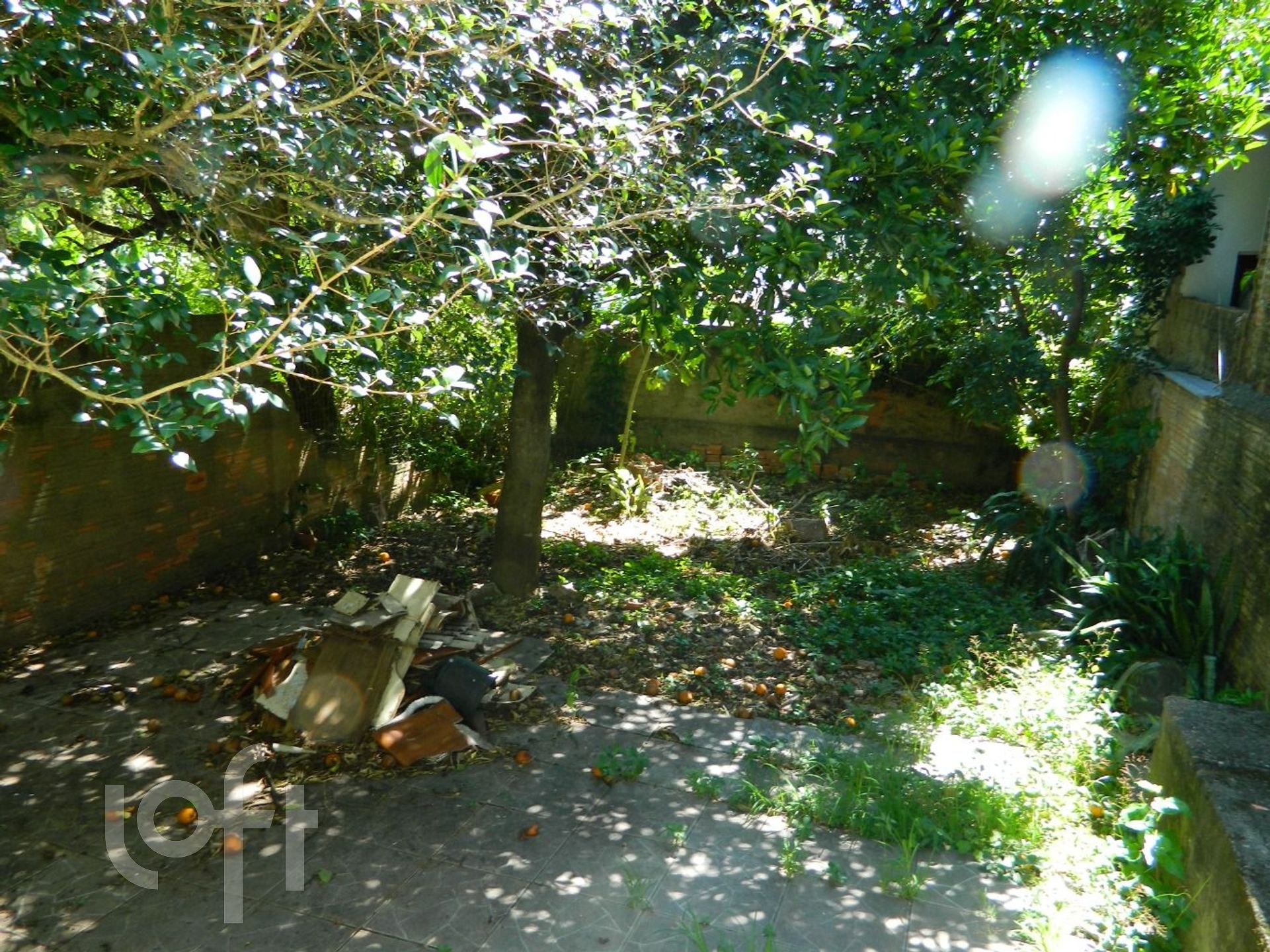 Imagem da propriedade 22