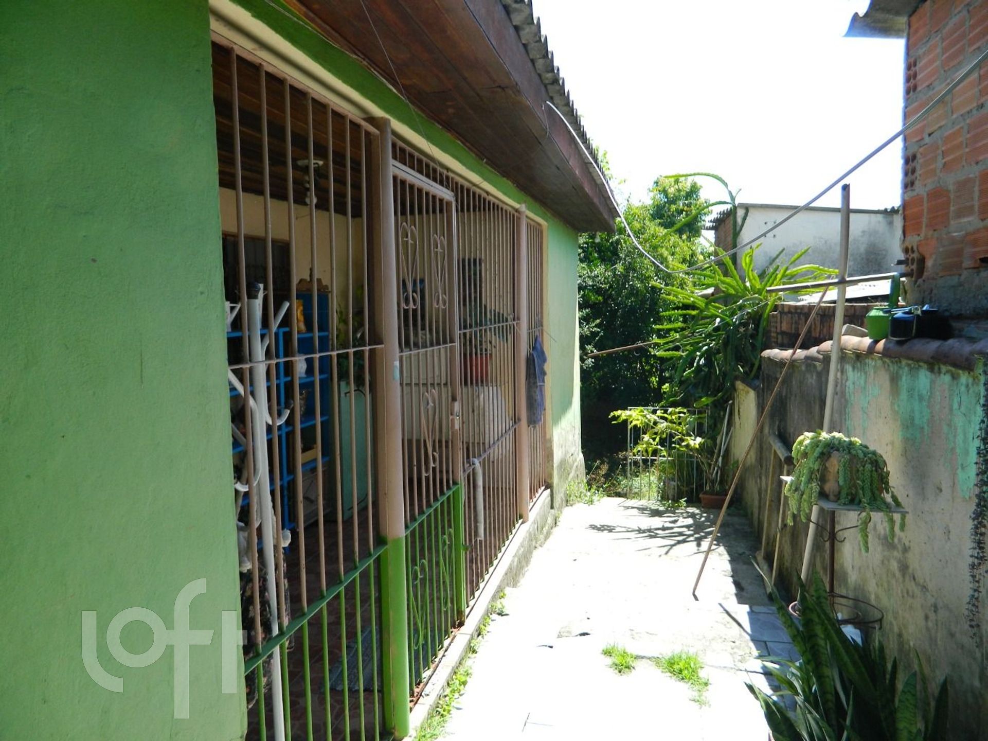 Imagem da propriedade 6