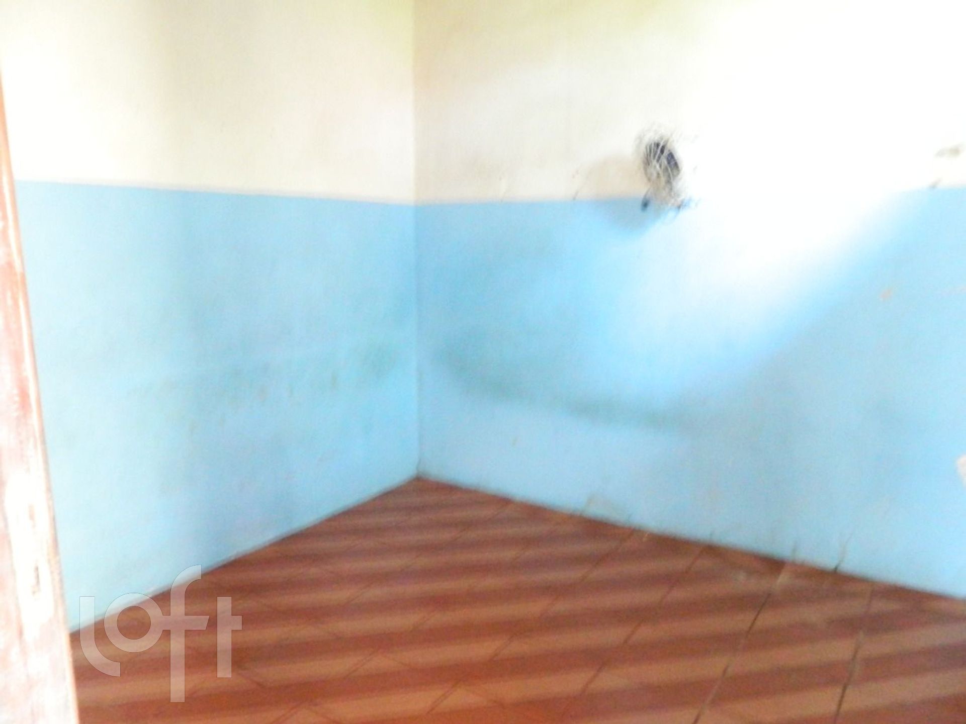 Imagem da propriedade 9